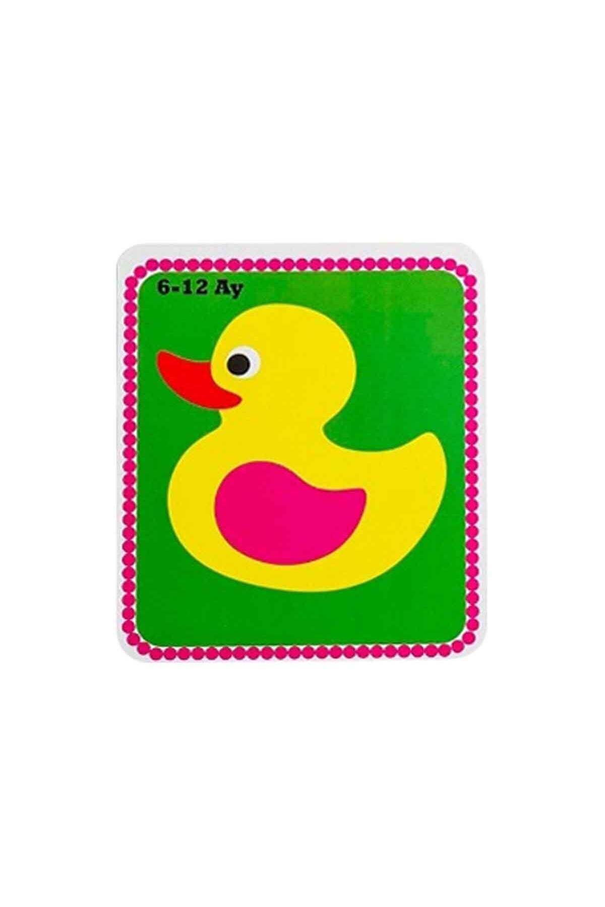 scntoys-My Baby's First Intelligence Cards 0-12 Months - First Activity Intelligence Card Game Set with Pictures for Babies 0-12 Months 4