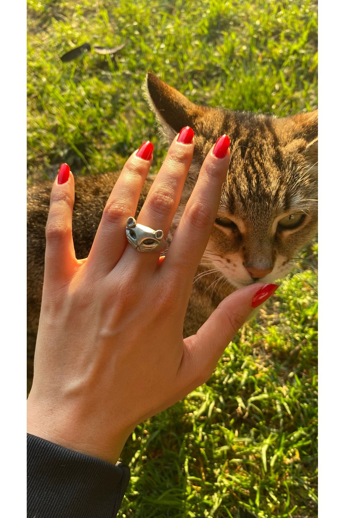 Cayo Largo Jewellery Ramses Gümüş Kedi Yüzük Pirinç Üzeri Altın Kaplama