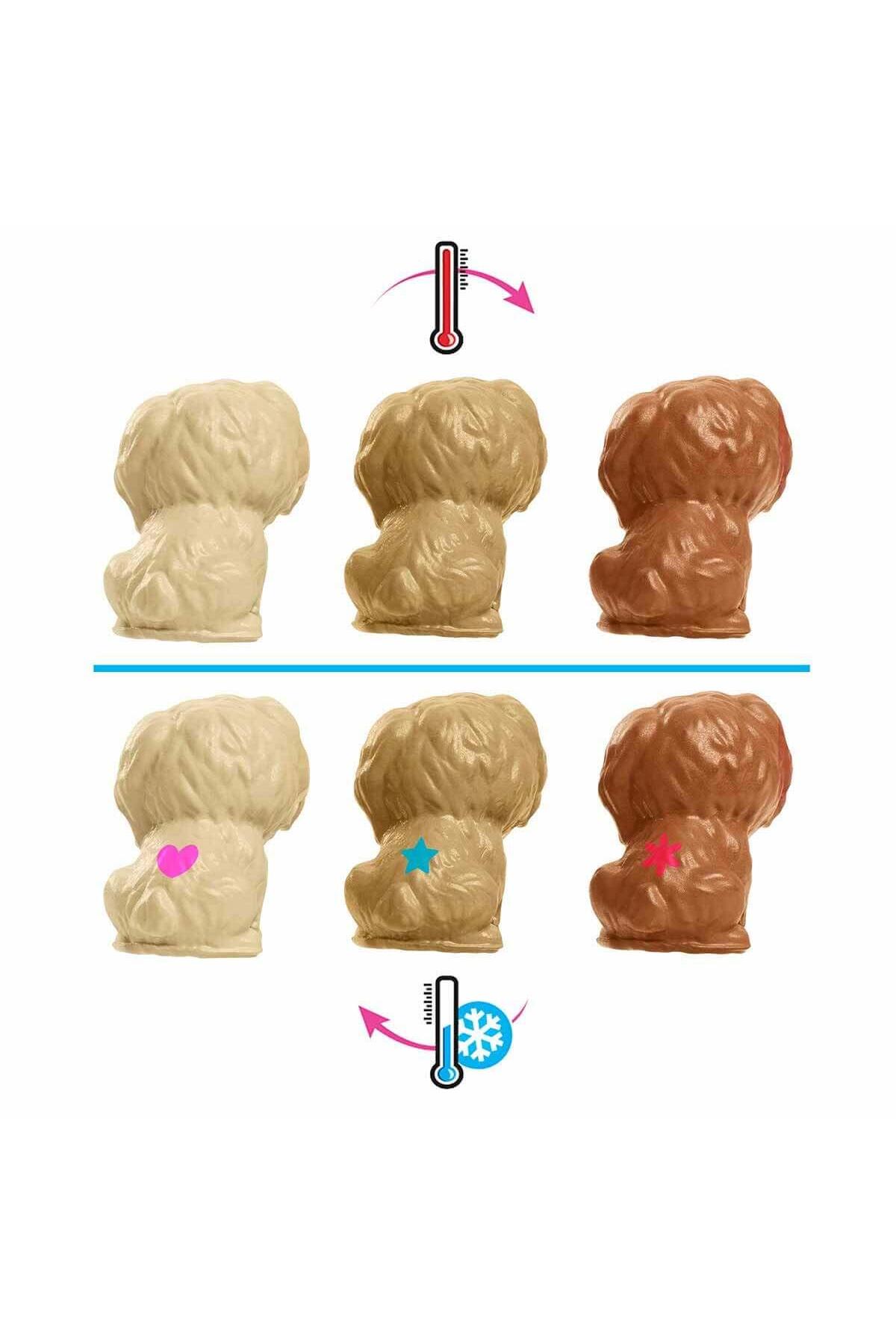 Barbie Ve Hayvan Dostları Hck75 fotoğrafı 5 (önizleme)