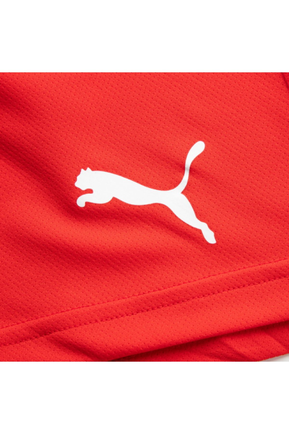 Puma-Men's Fitness Shorts - Quick Dry, Micropoly, Training Astroturf, Short Tights, Outdoor 4