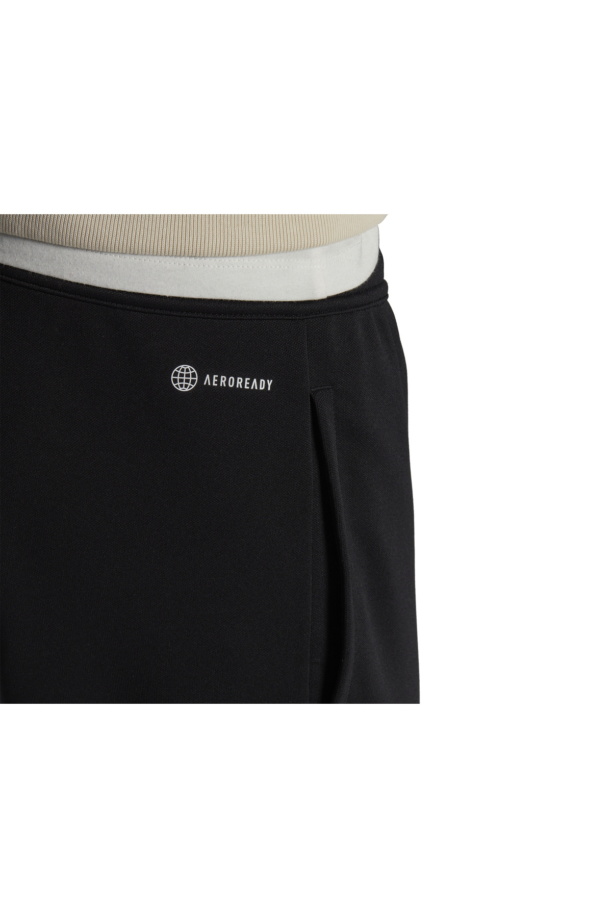 adidas-Ent22 Tr Pnt Men's Football Training Sweatpants Black 5