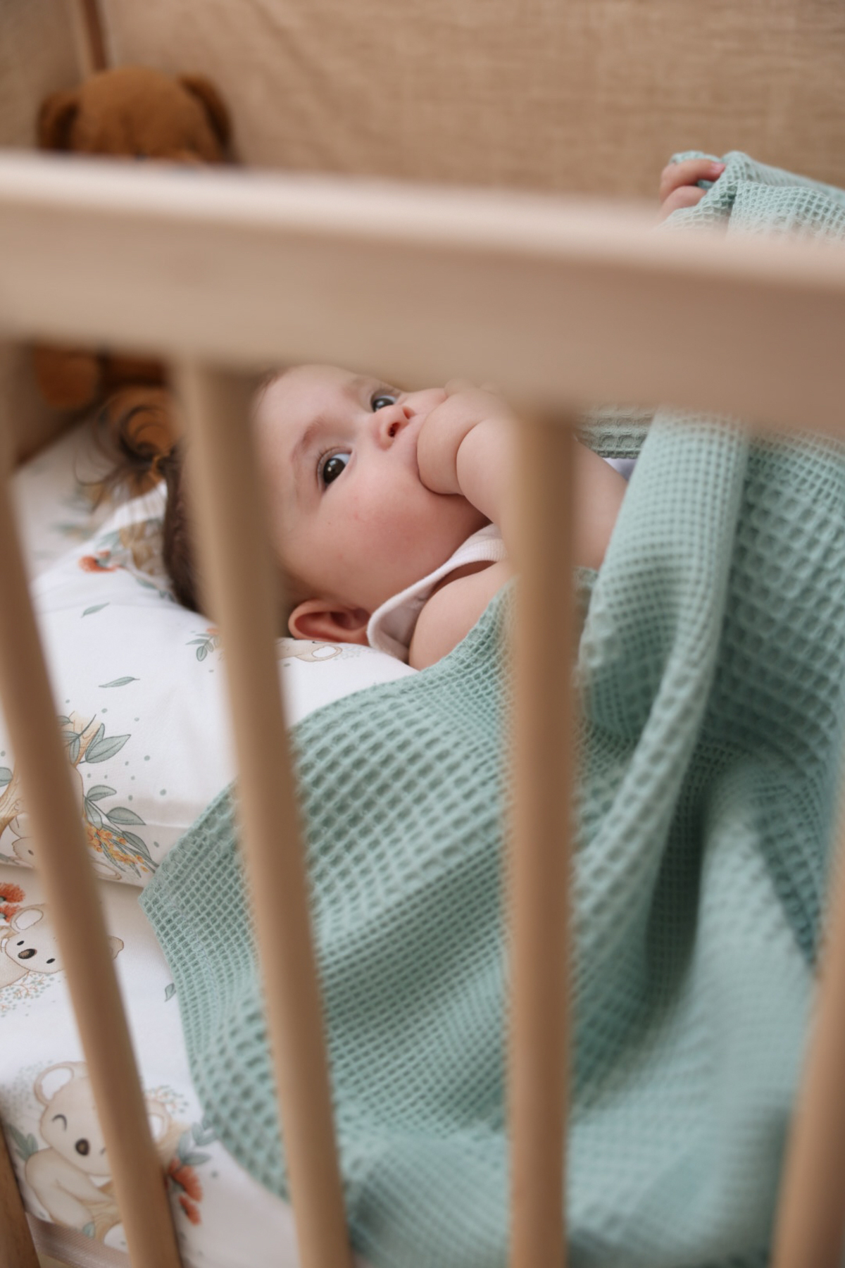 MİLNA BABY&KİDS Bebek Çocuk Pike Takımı Koala Desenli 90x140 fotoğrafı 2 (önizleme)