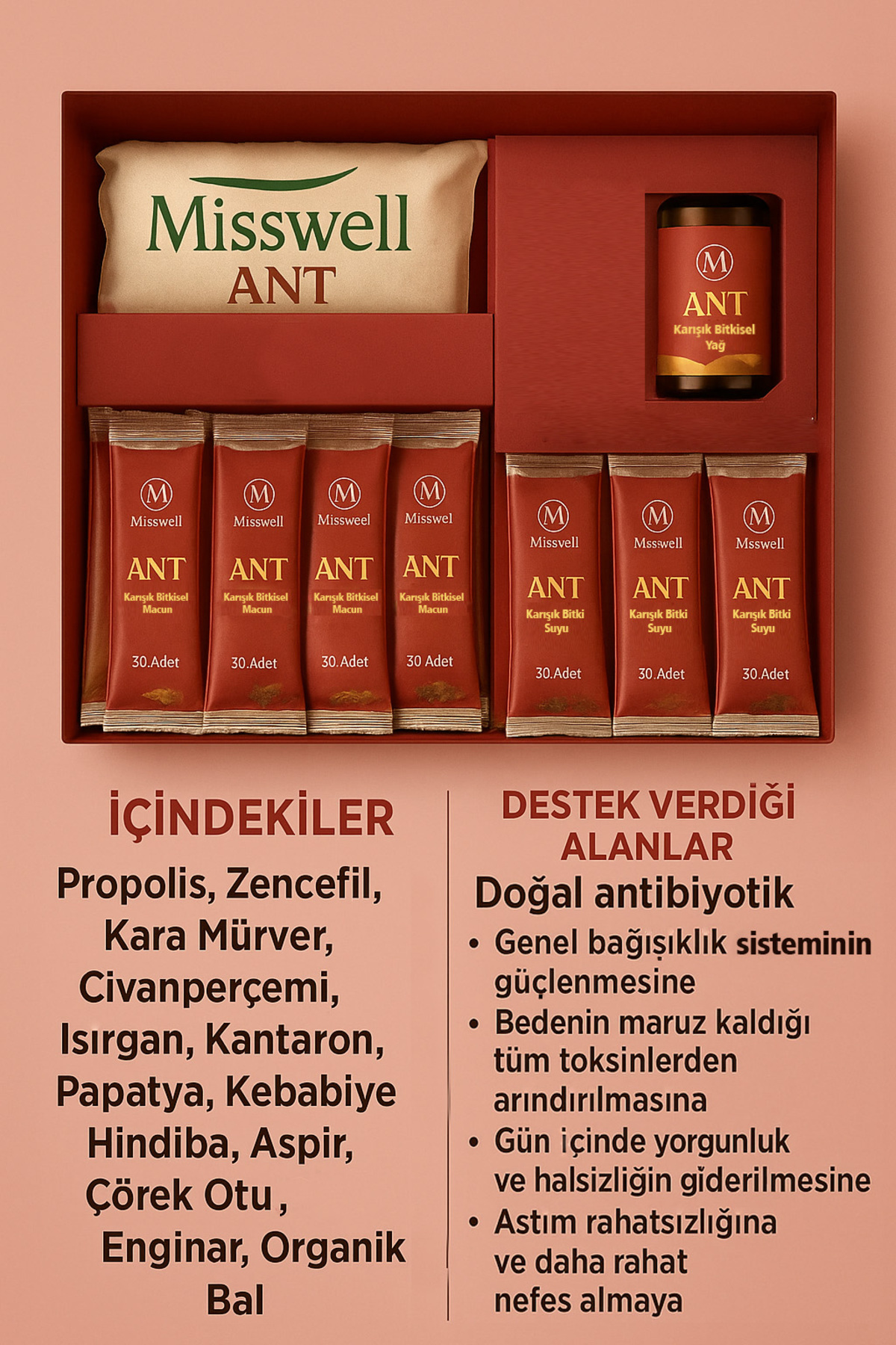 MİSSWELL-ANT Set - Light and Short Cut Ant Colony 2