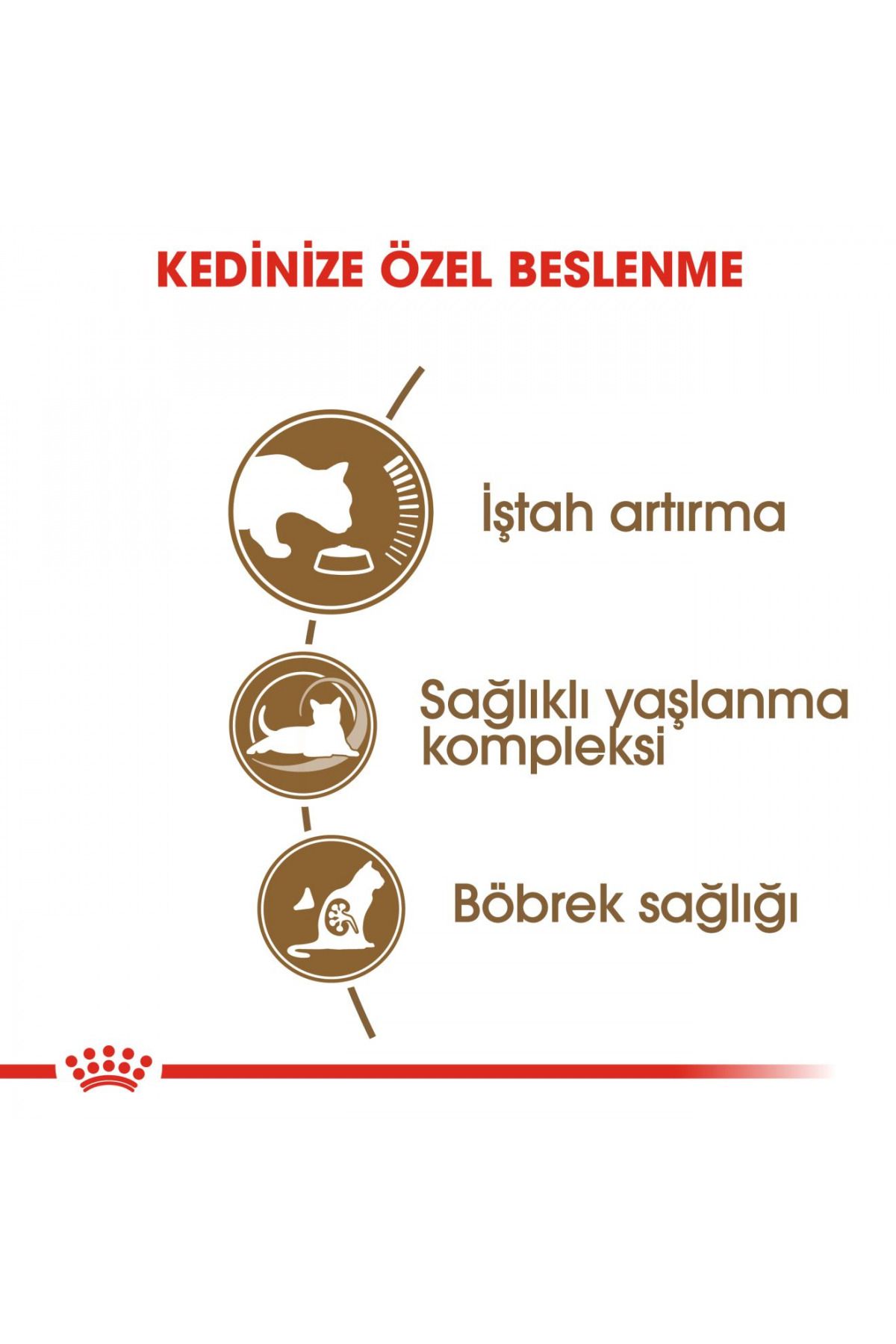 Royal Canin-Dry Cat Food for Cats 12 Years and over 2kg 5