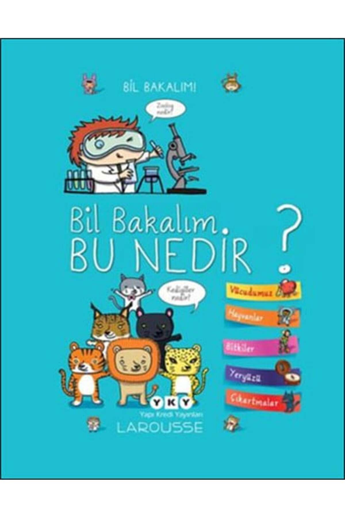 Destek Yayınları Bil Bakalım Bu Nedir