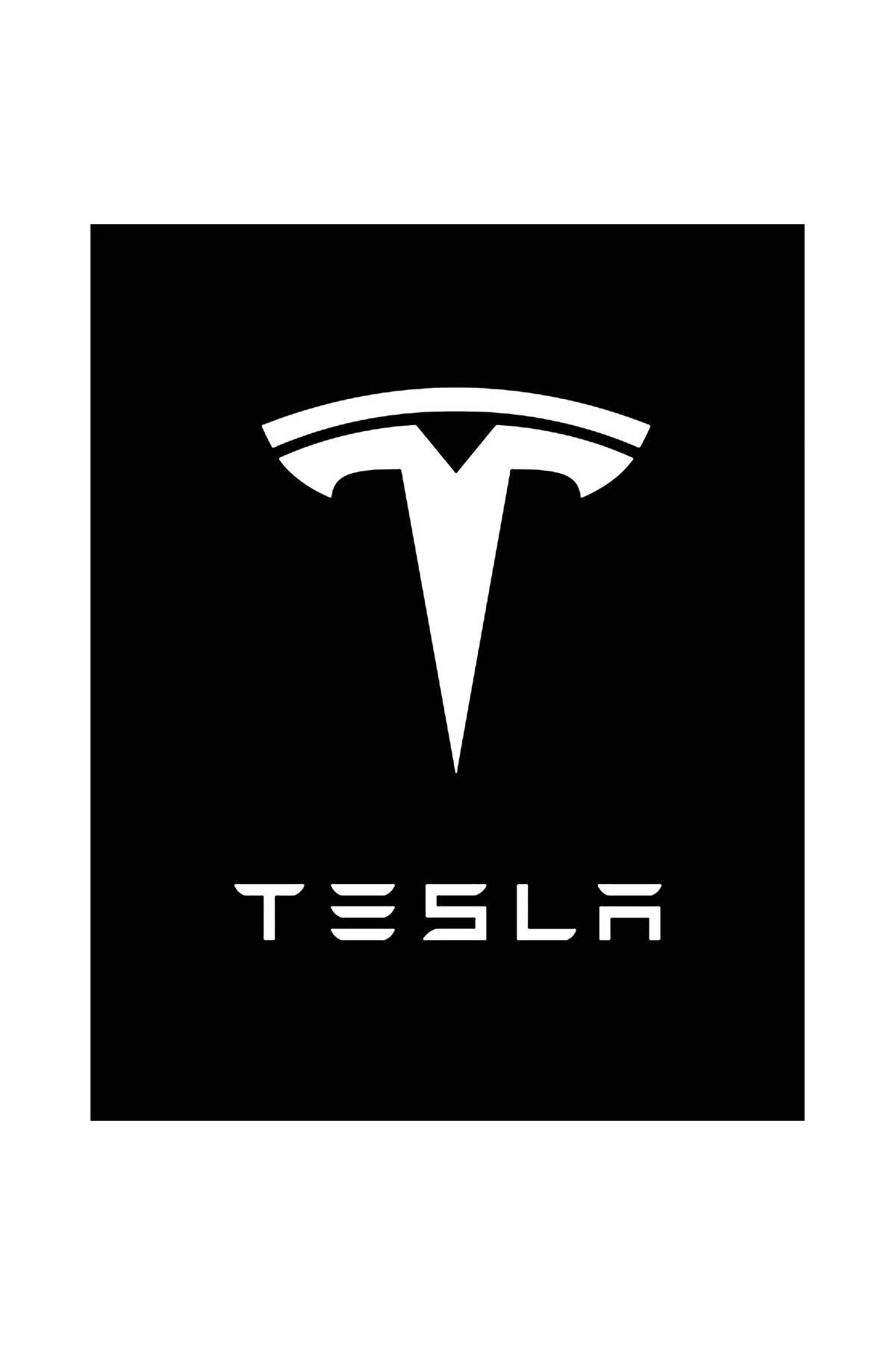 Z zepplin Tesla Logo Text Büyük Sırt Patch Yama