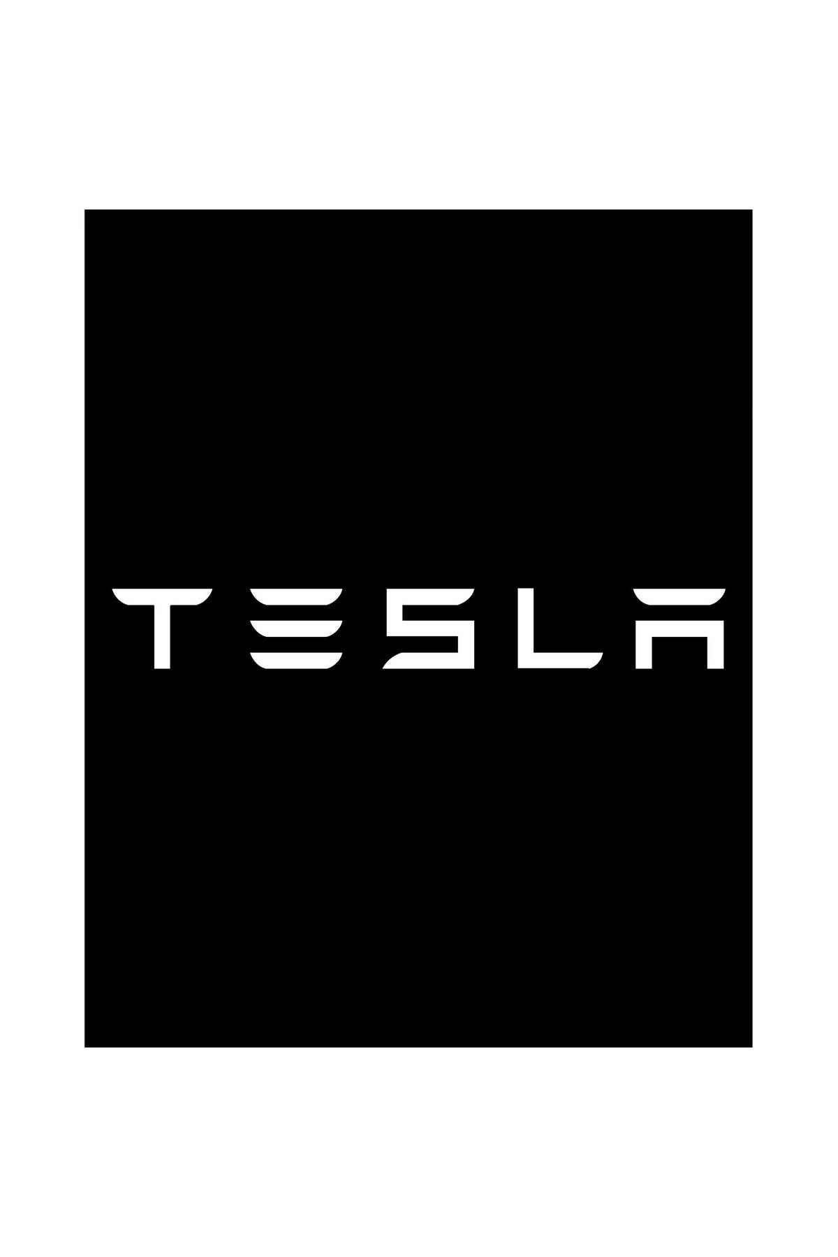 Z zepplin Tesla Text Büyük Sırt Patch Yama