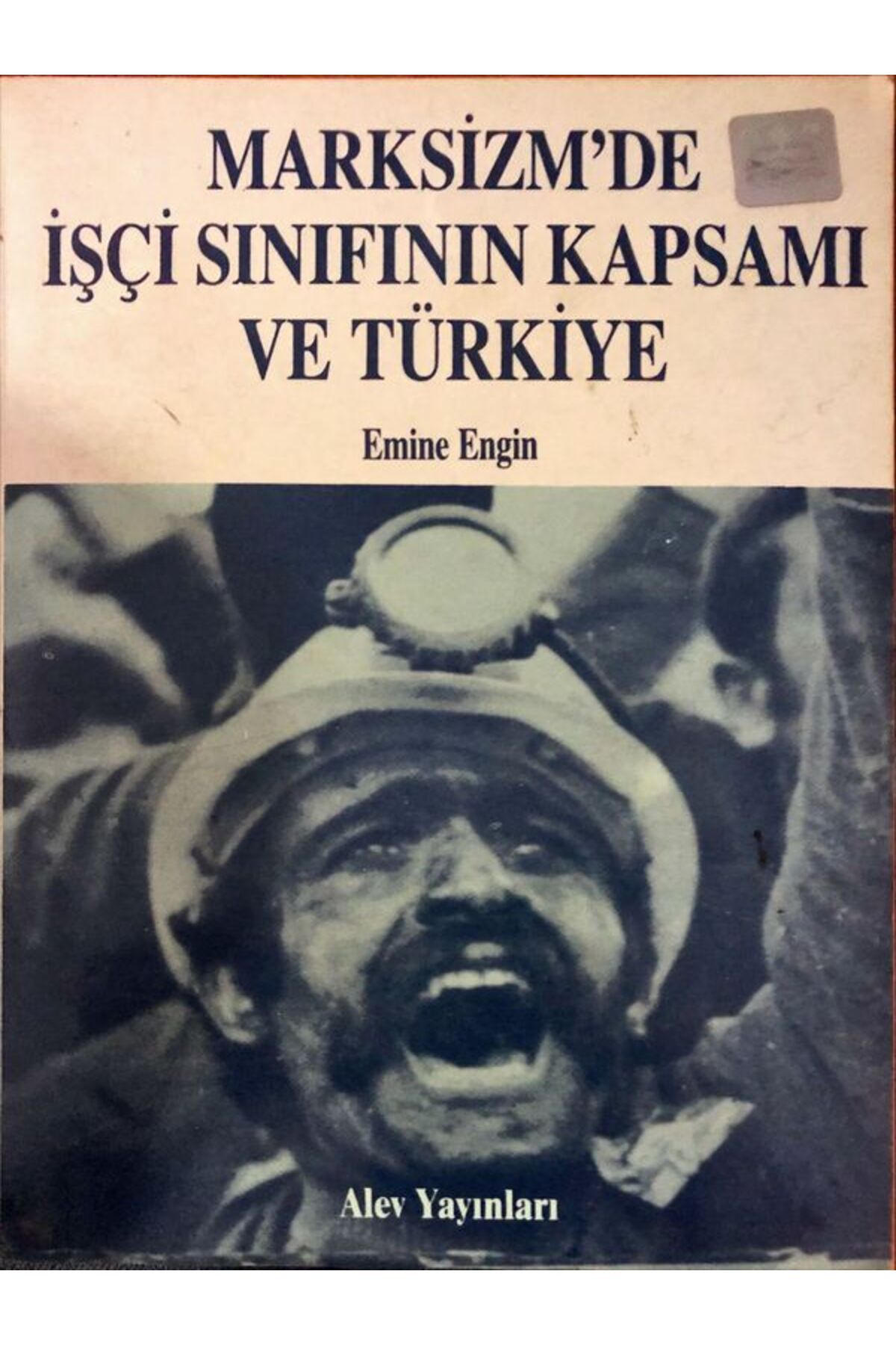 Alev Yayınları Marksizm'de İşçi Sınıfının Kapsamı ve Türkiye - Emine Engin