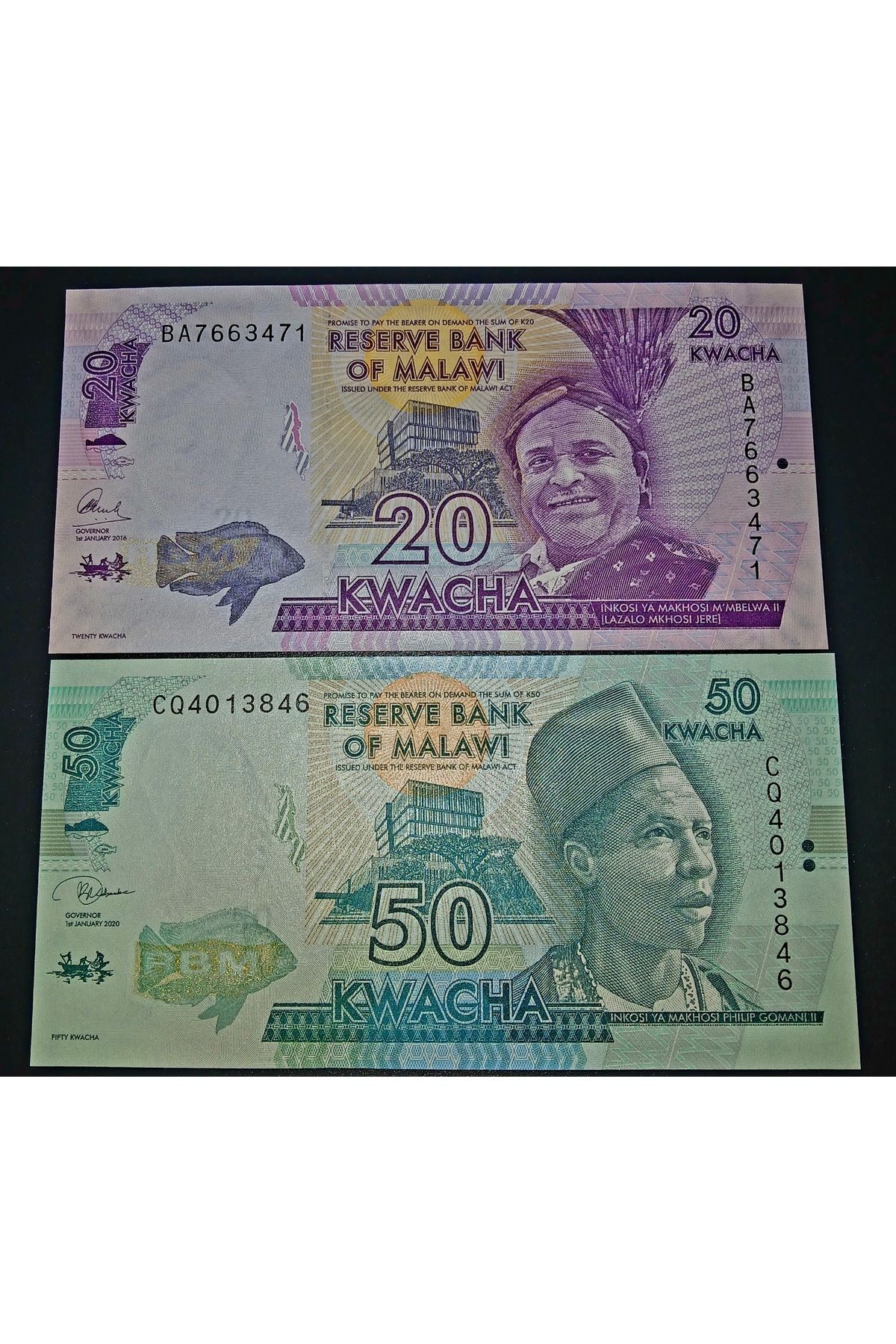 DÜZGÜN TİCARET MALAWI 20 VE 50 KWACHA YABANCI KAĞIT PARA LOTU ÇİL GÖRSELDEKİ ÜRÜN