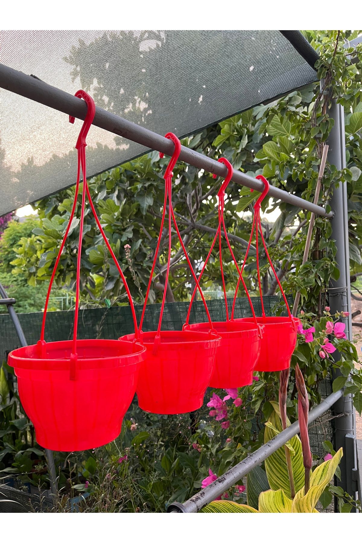Birtutamrenk Kırmızı 4lü Askılı Saksı 2litre