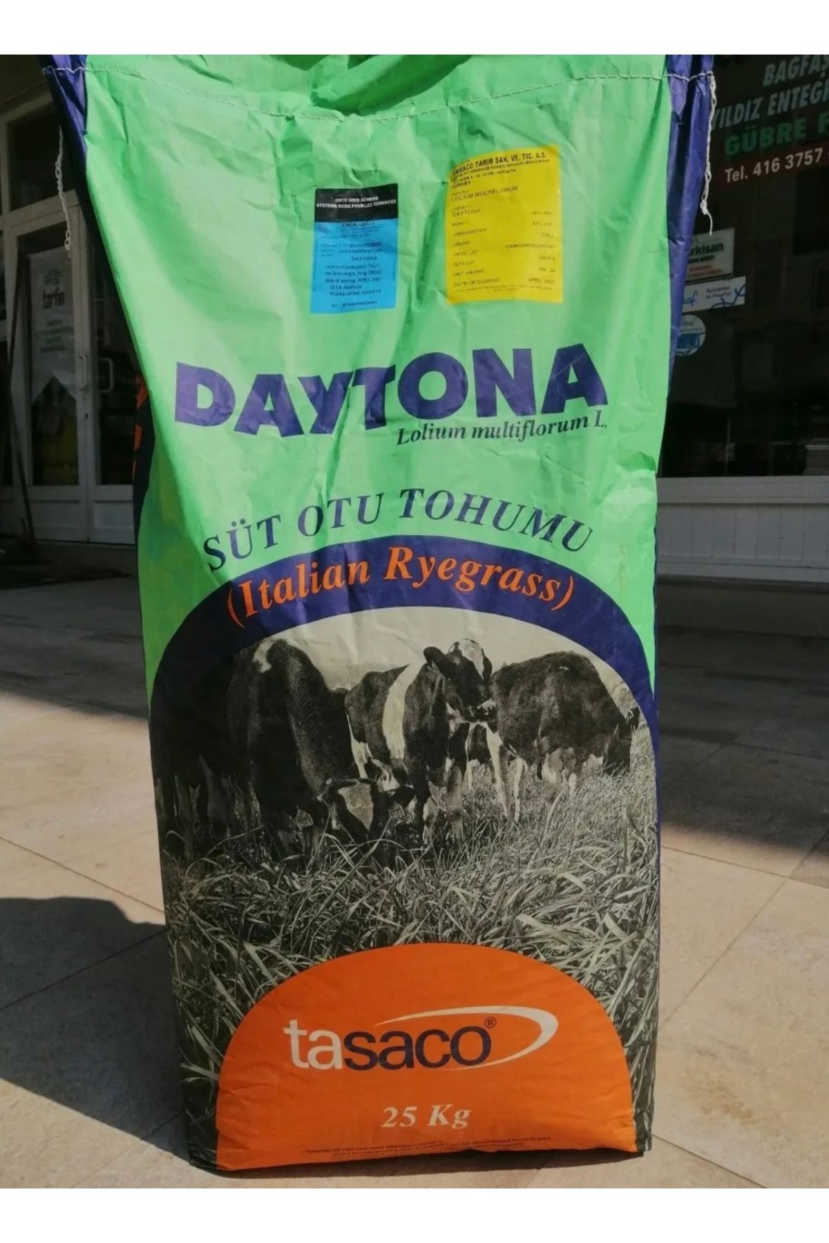 Tasaco Daytona İthal Ryegrass Tohumu