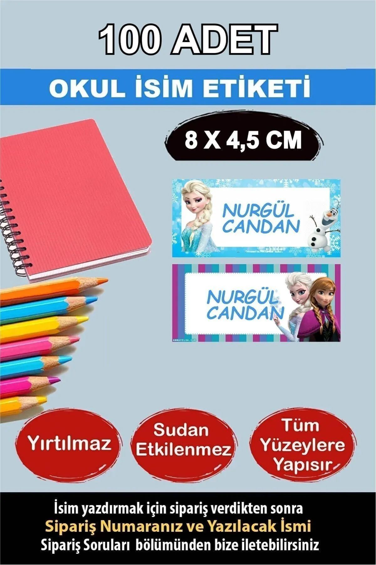 KT Decor Okul Etiketi Karlar Ülkesi Büyük Boy Defter Kitap Özel Isimli Etiket 2 Figür - 100 Adet