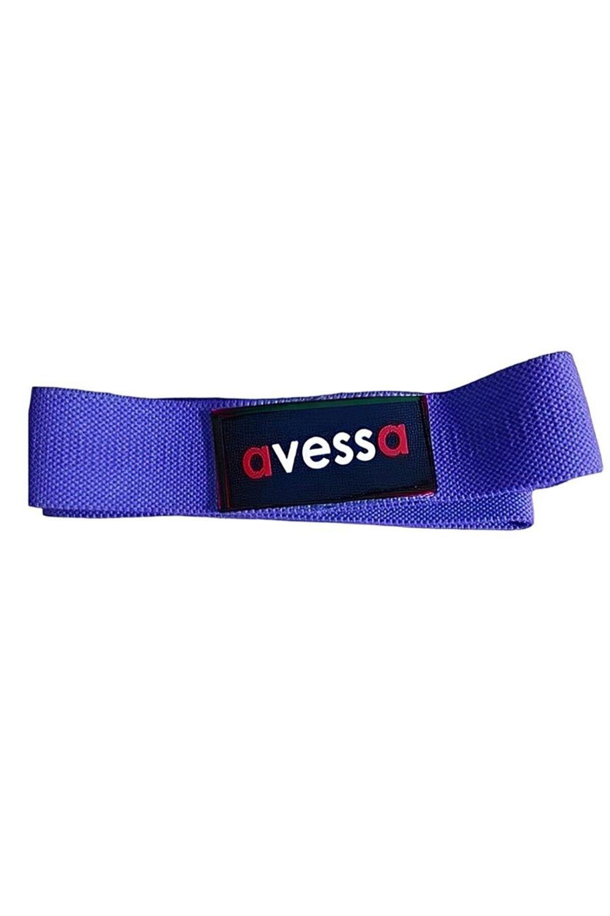 alsepeteavm AVESSA LPB-200 DİRANÇ LASTİĞİ MOR ORTA