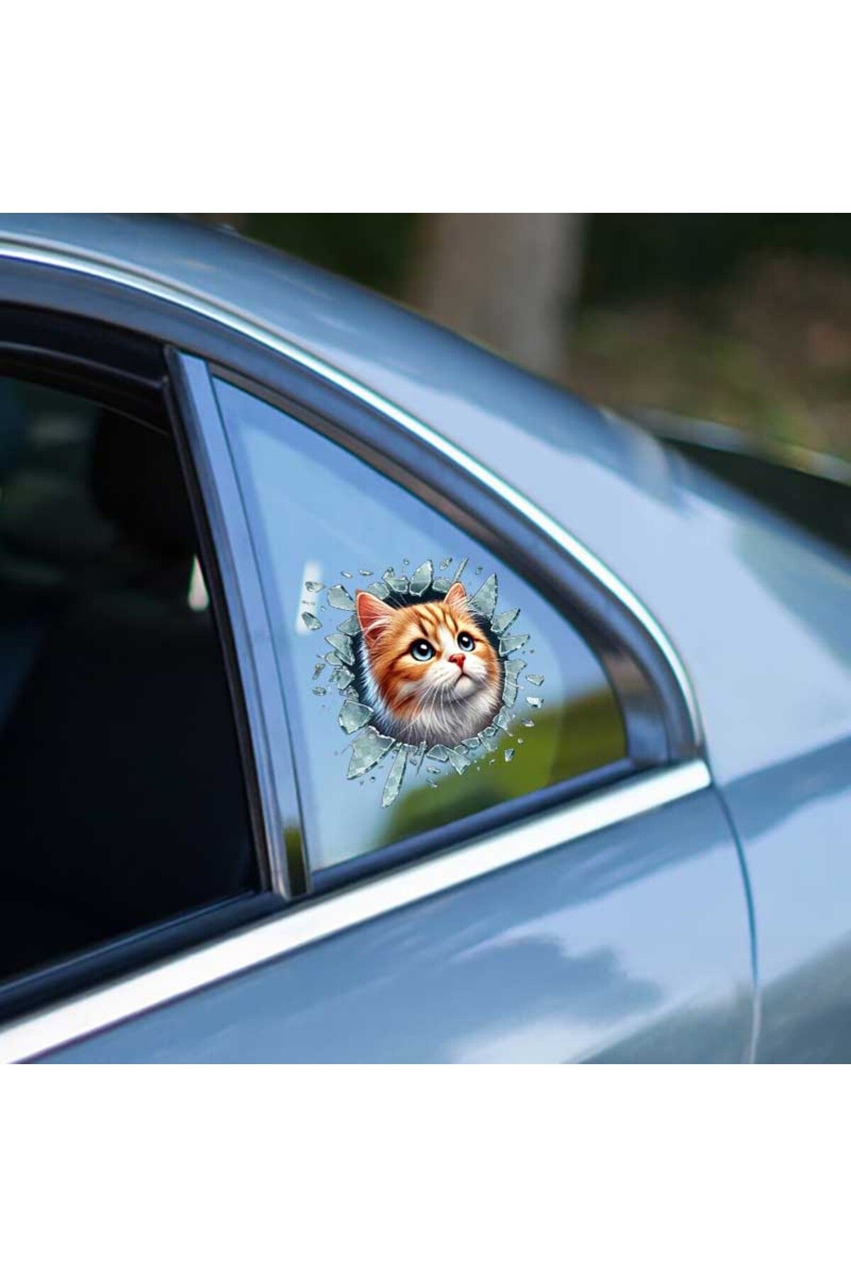 pazarella Sarman Araç Stickerı