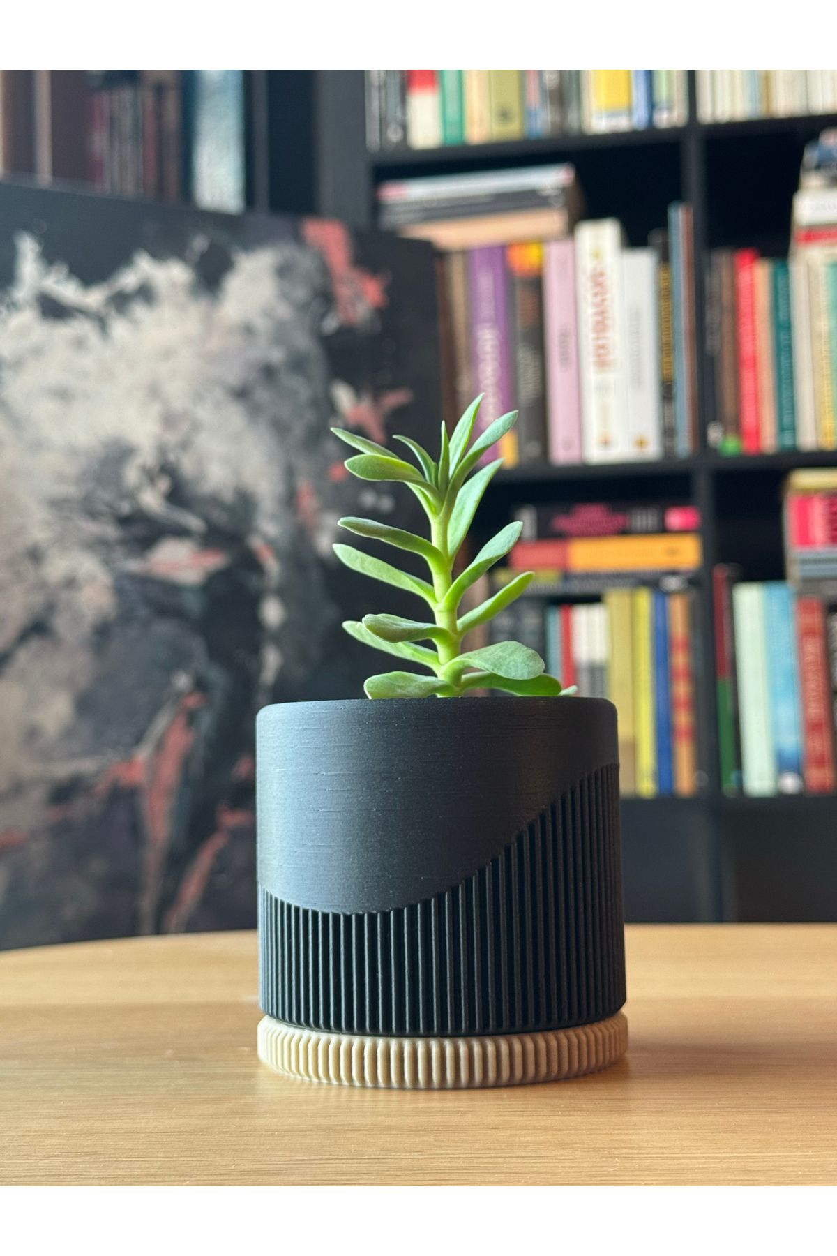 DECOROMA Dekoratif Küçük Boy Sukulent Saksı