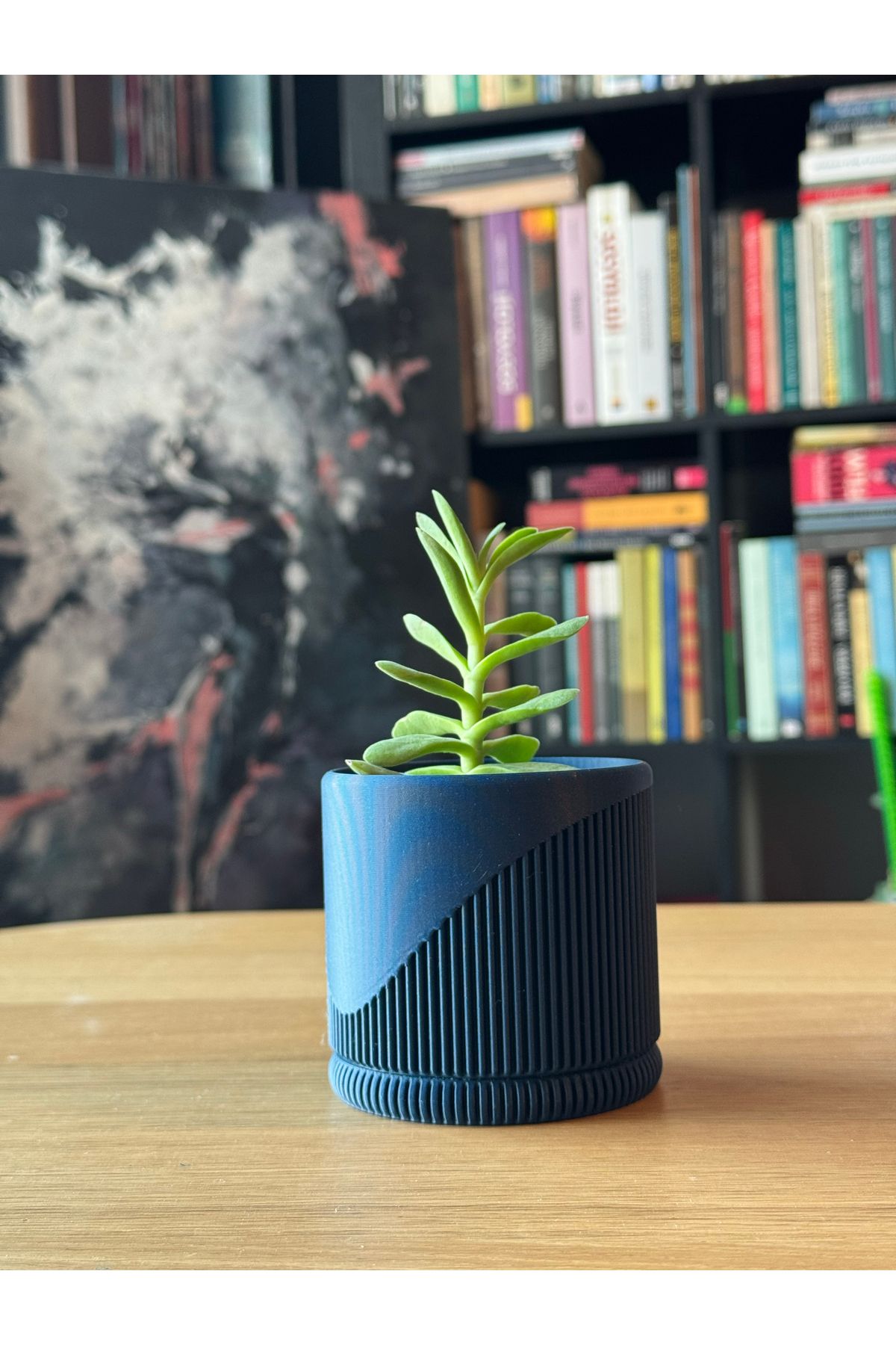 DECOROMA Dekoratif Küçük Boy Sukulent Saksı