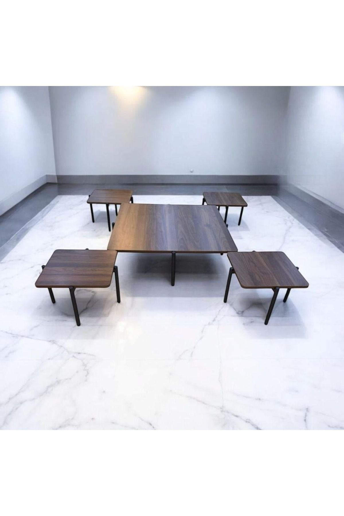 DEC13-Modern and elegant design 4+1 serving table set 1