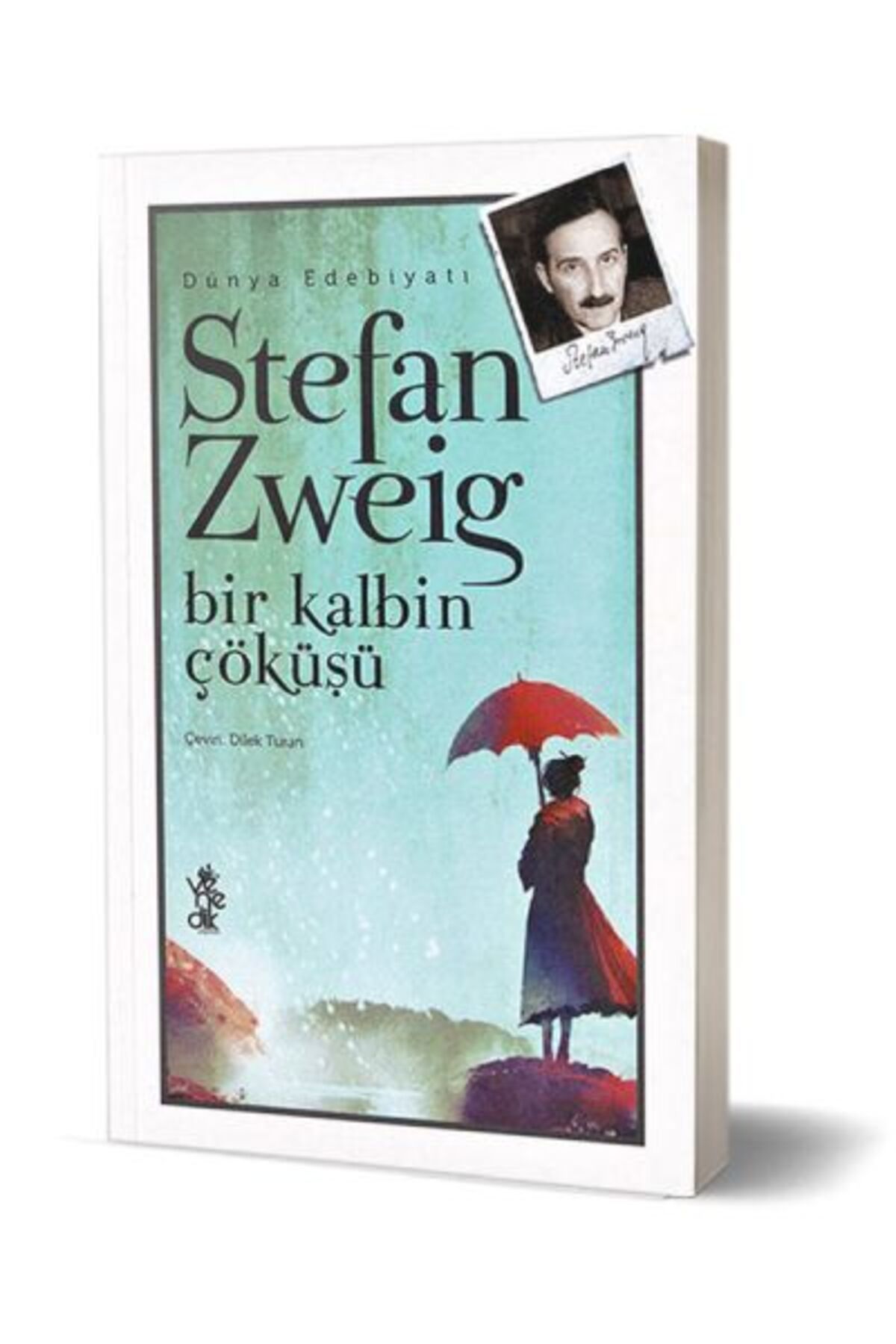 Yuva Yayınları Bir Kalbin Çöküşü