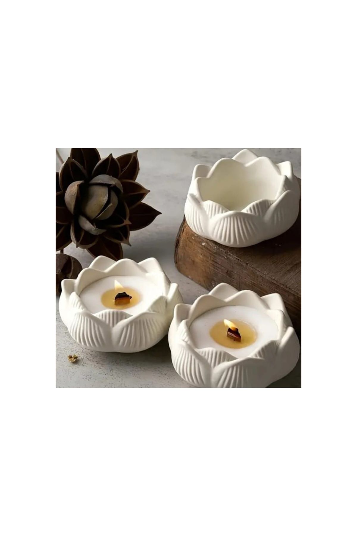 La Puppe Lotus Mum Kalıbı