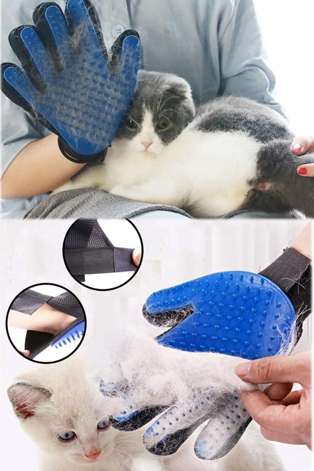 CMT-🖐️ Feather Picking Gloves 3
