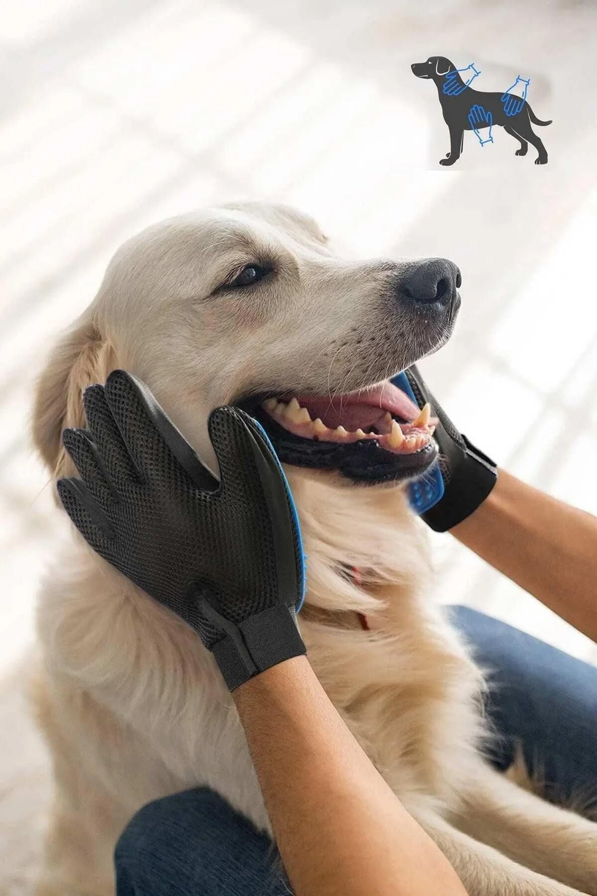 CMT-🖐️ Feather Picking Gloves 7