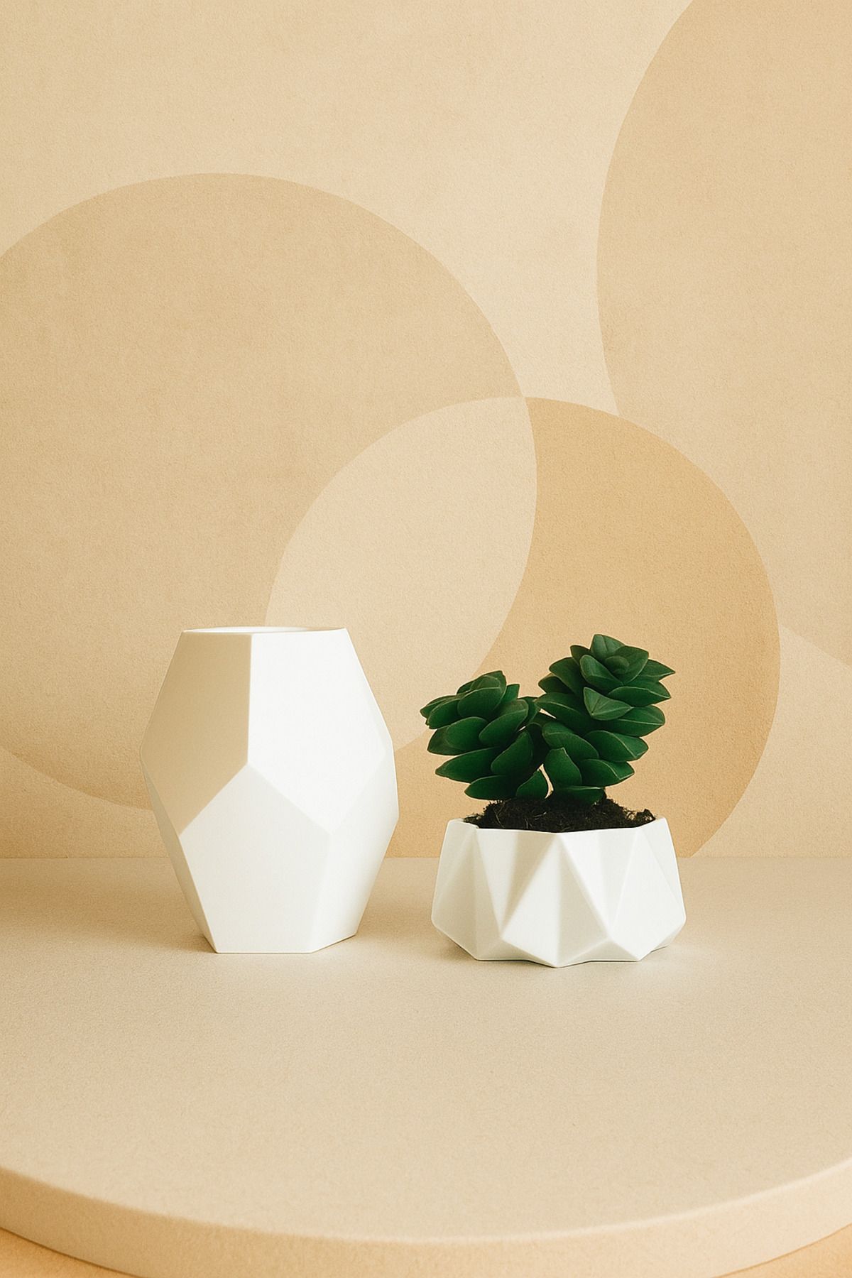 Nova lab Florero Modern Kaktüs Saksısı ve Mini Vazo
