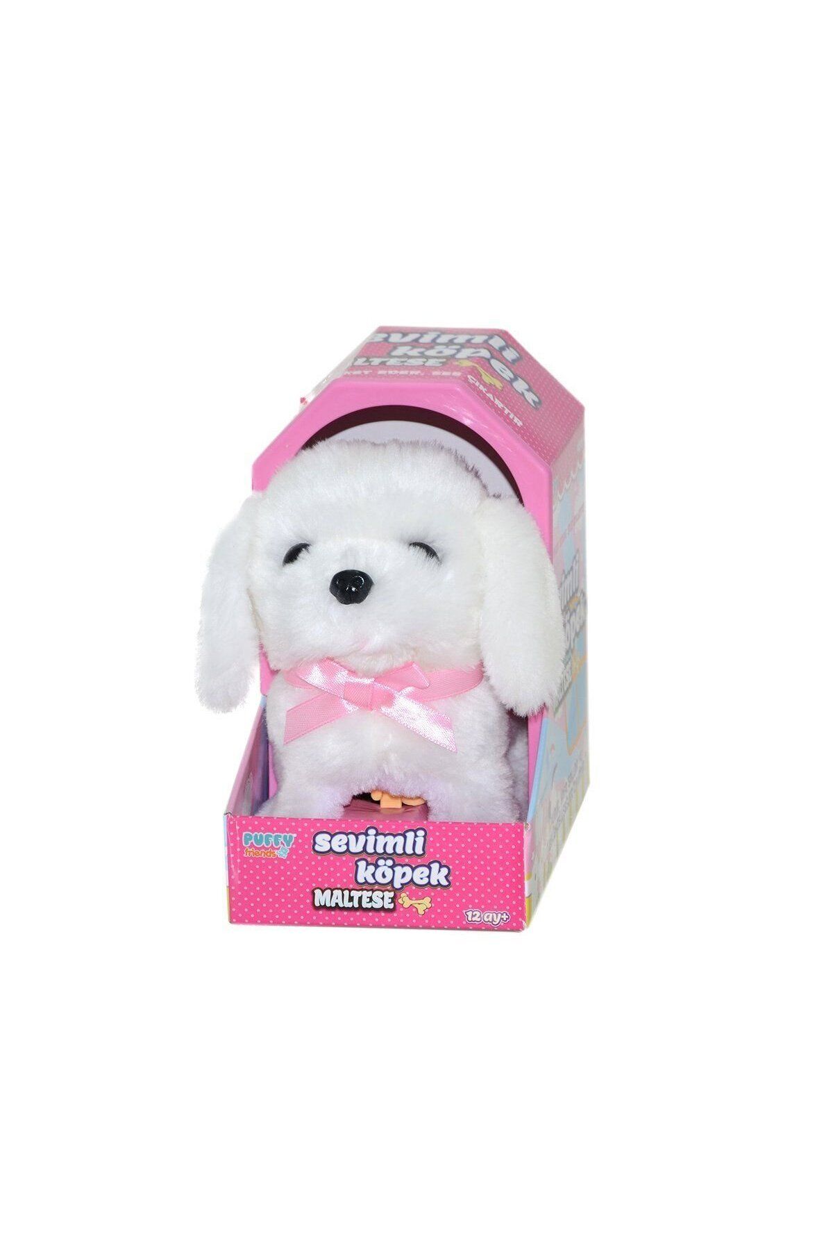 Aymir Ticaret 47100 Sevimli Köpek Maltese -Sunman