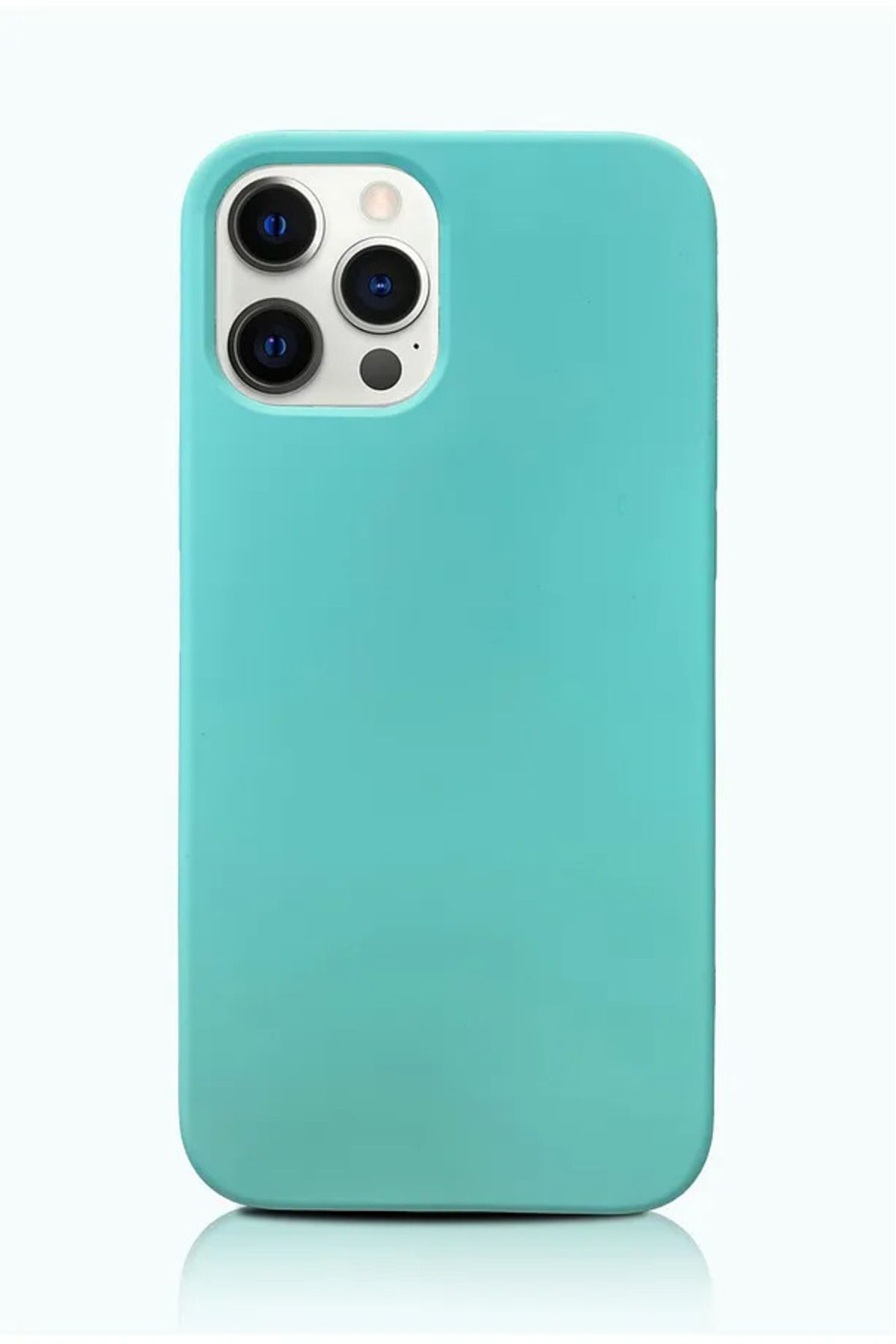 nexnova Apple Iphone 12 Pro Max Uyumlu Kılıf Içi Kadife Lansman Silinebilir Renkli Yumuşak Silikon Kapak