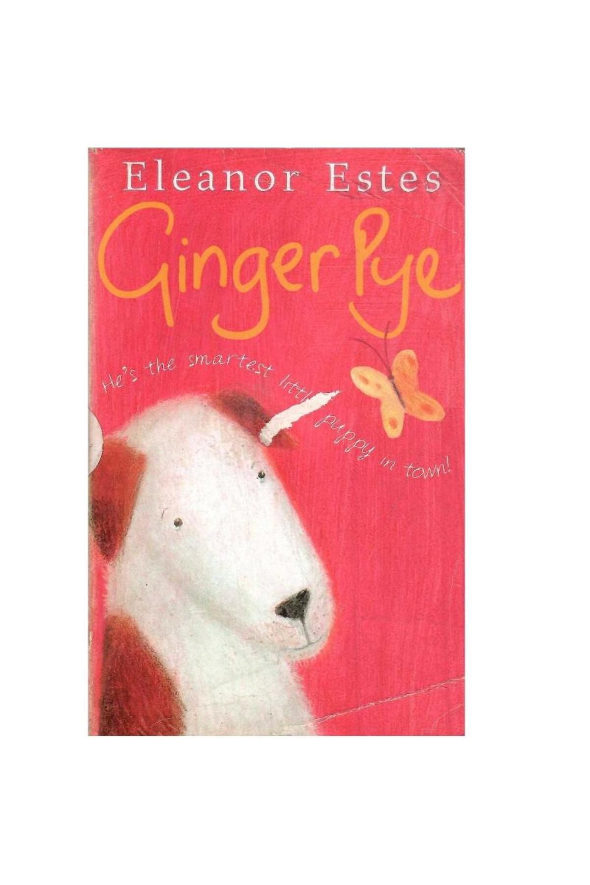 Türk Dil Kurumu Yayınları Ginger Pye - Eleanor Estes