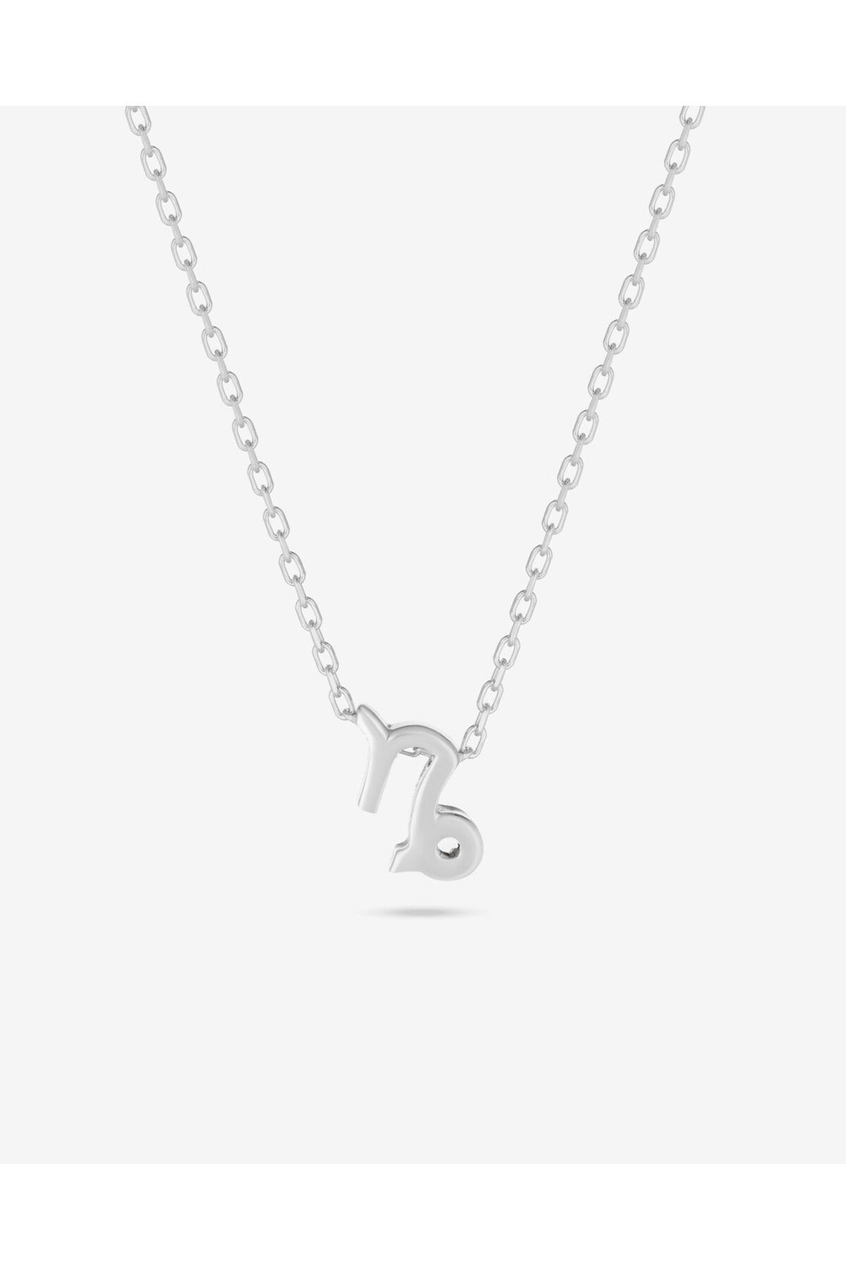MEKS JEWELS Gümüş Oğlak Burcu Kolyesi