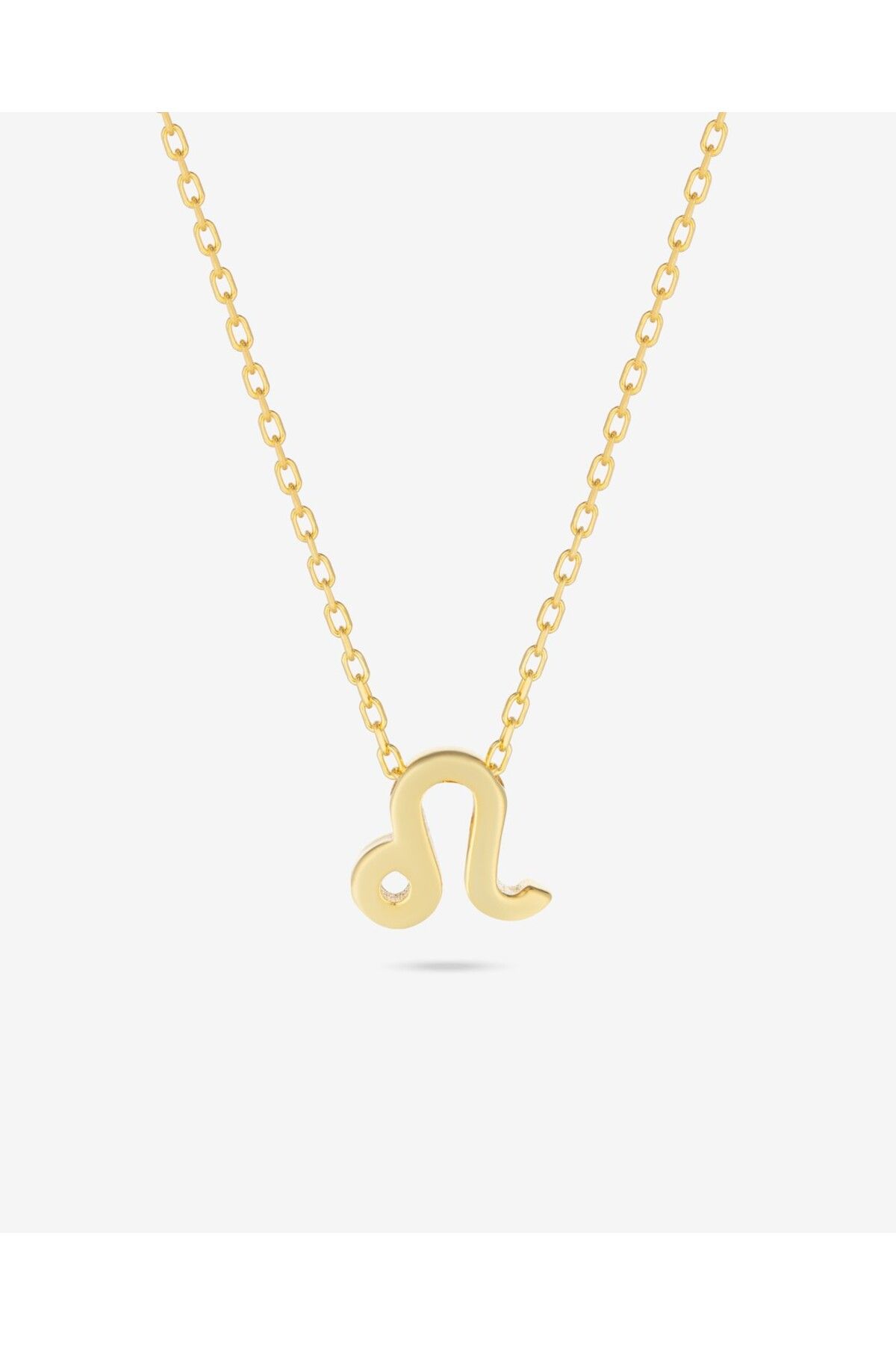 MEKS JEWELS Gümüş Aslan Burcu Kolyesi