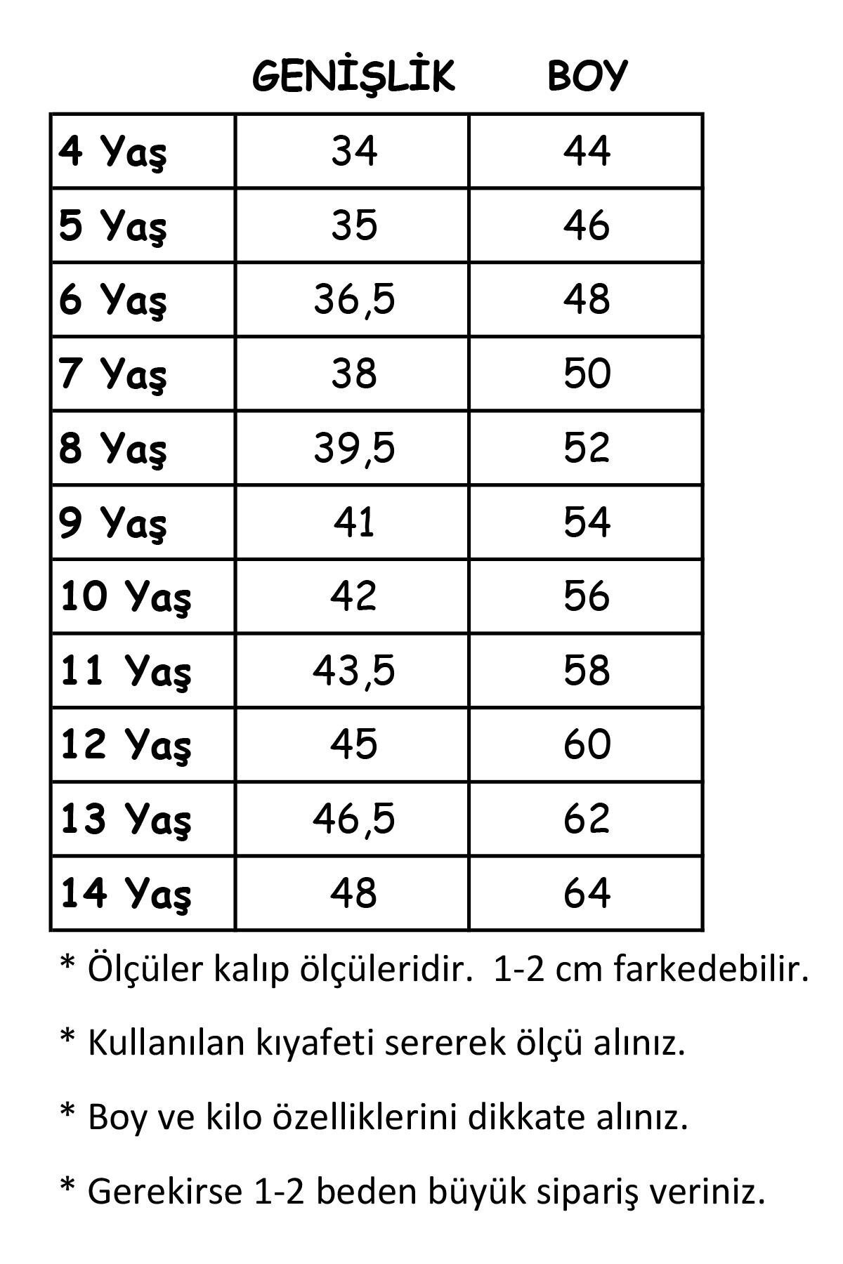 Trend Baby Kids Türk Bayraklı Atatürk Baskılı T-shirt (3 Adet Fiyatı) 4-14 Yaş Kız-Erkek KSB fotoğrafı 2 (önizleme)