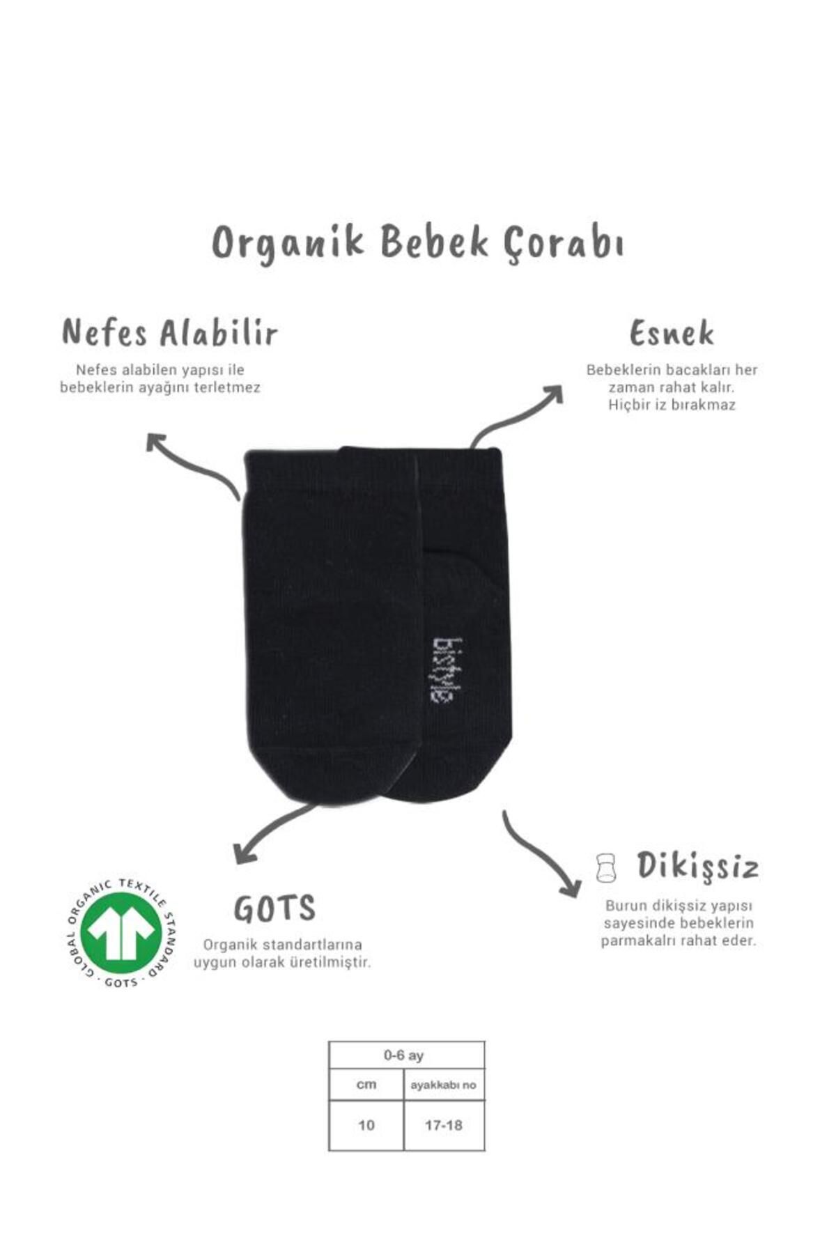 NW NessiWorld Nessiworld Bistyle 5'li Penye Soket Kutulu Basic Çorap 10131 Gri