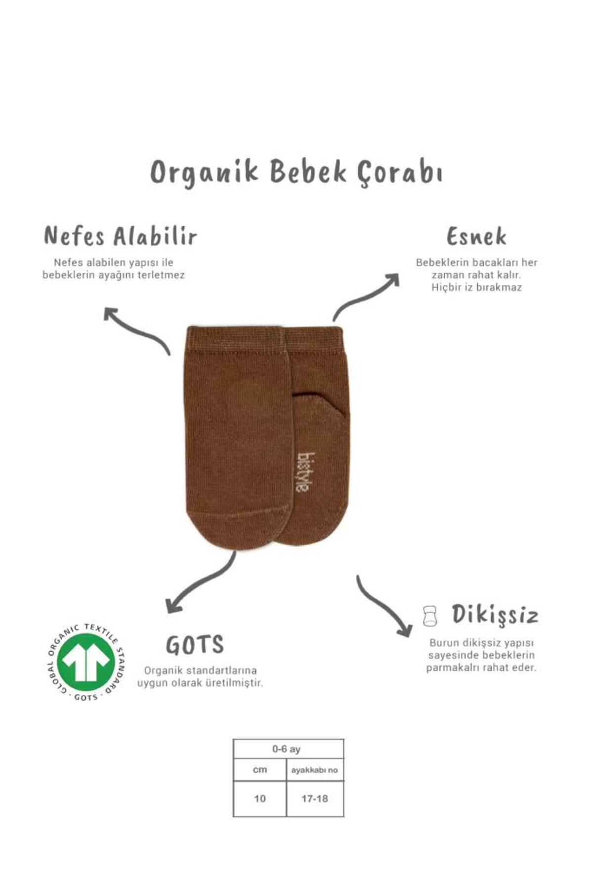 NW NessiWorld Nessiworld Bistyle 5'li Penye Soket Kutulu Basic Çorap 10131 Bej