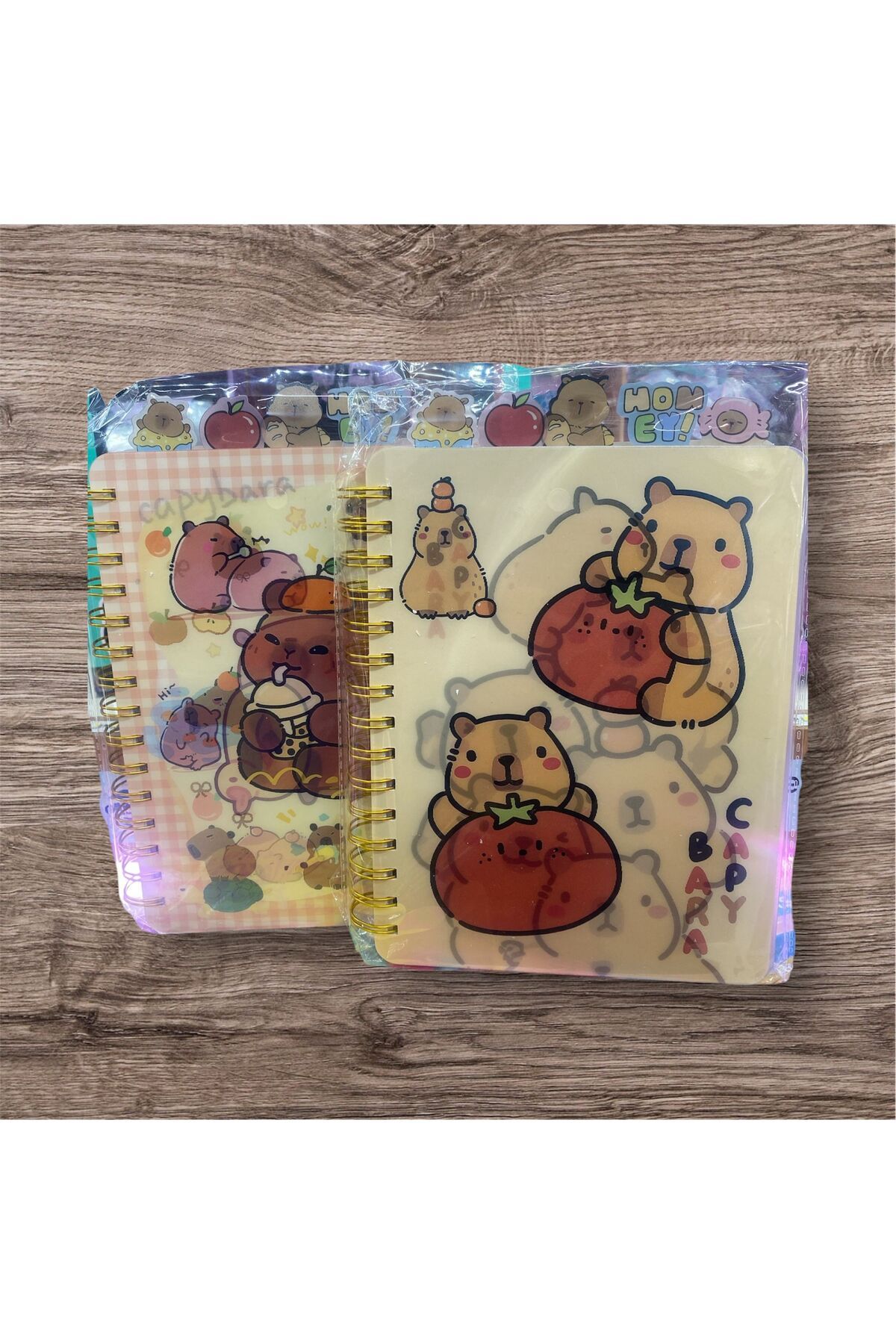 cosmic kırtasiye CAPYBARA BÖLÜMLÜ TELLİ DEFTER
