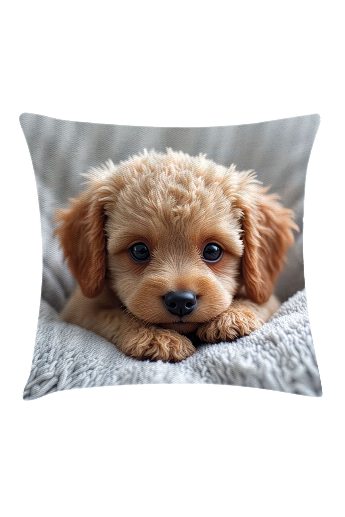 Orange Venue Poddle Desenli Minder Kılıfı, Meraklı Masum Yavru Köpek Baskısı, Soluk Kahverengi ve Gri