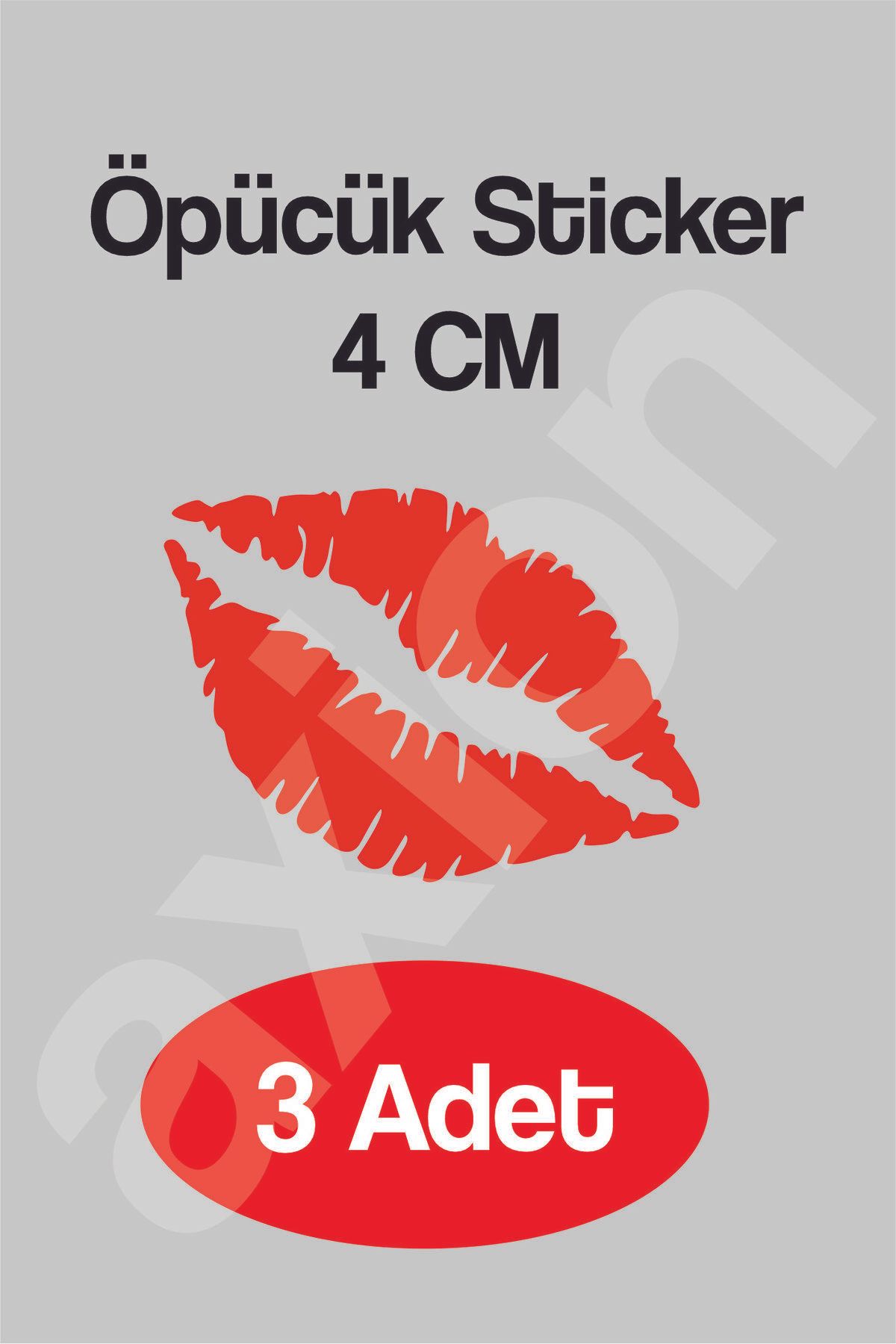 Axion Garage Öpücük Sticker / 3 ADET - 4 CM