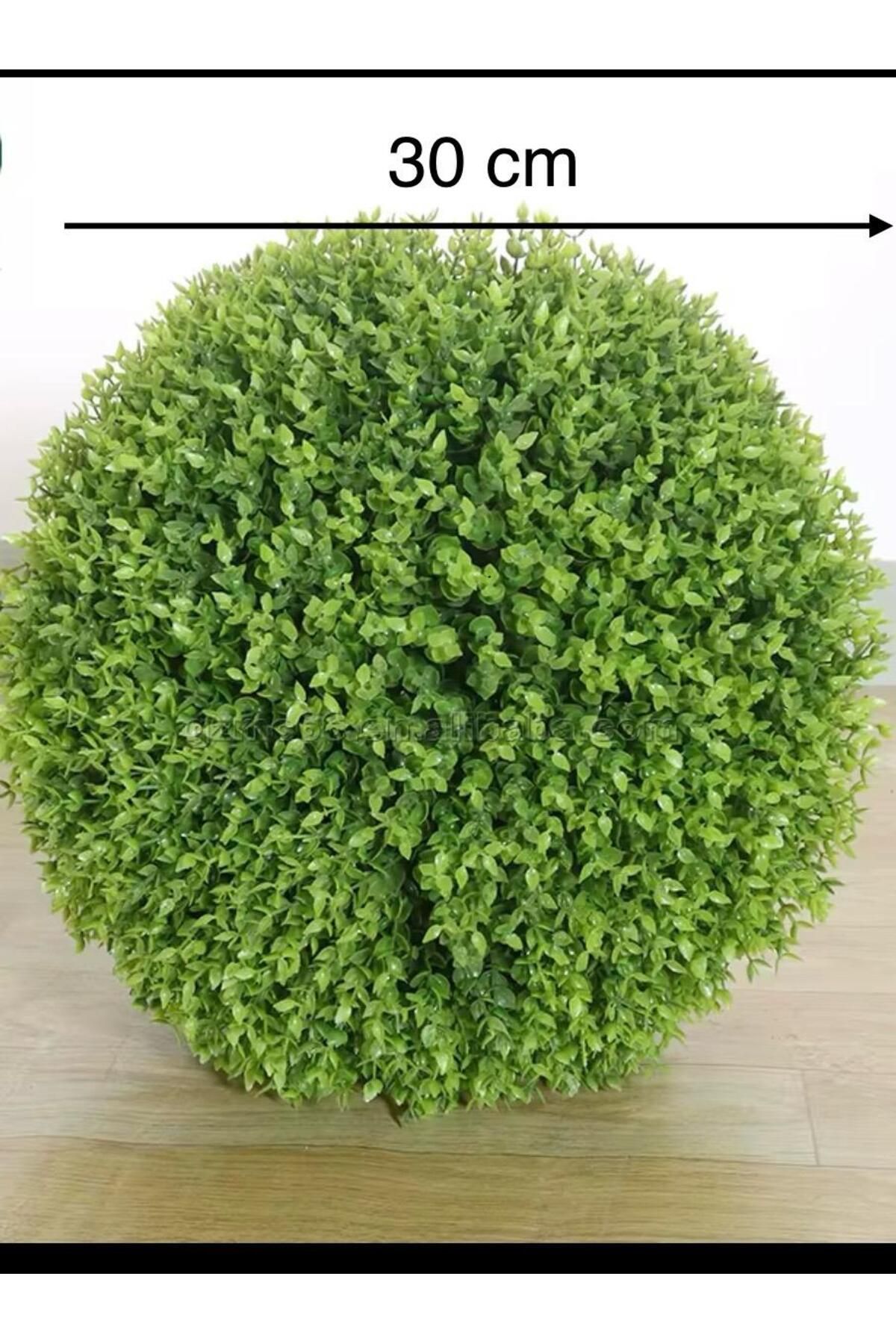 VEAL STORE DEKORATİF 30 CM OKALİPTUS ŞİMŞİR TOP