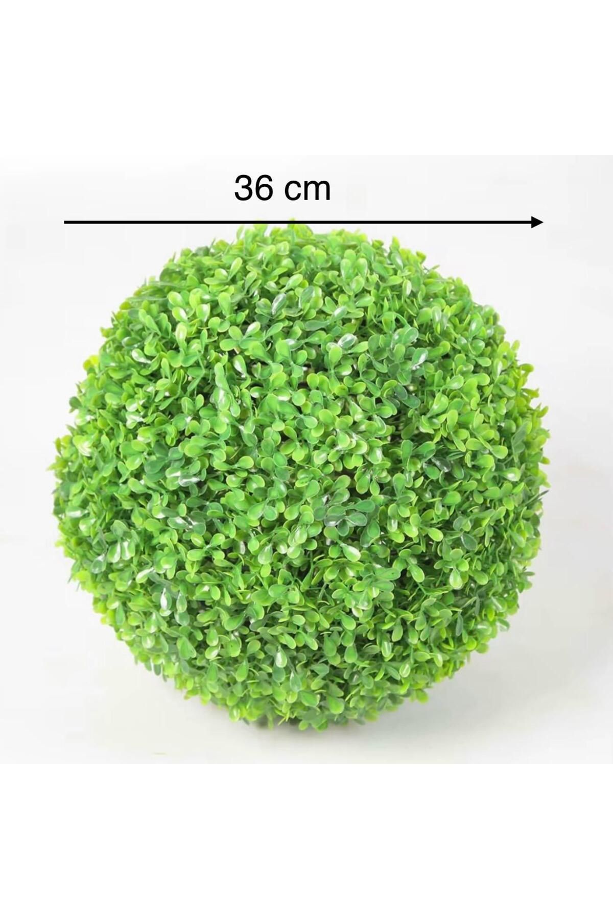 VEAL STORE DEKORATİF 36 CM ŞİMŞİR TOP