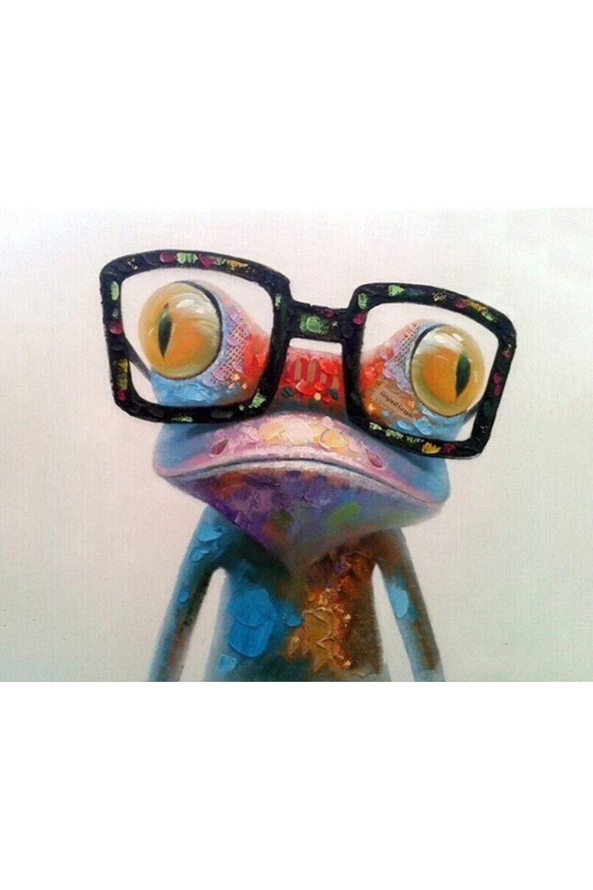 CaptainCrafts-paint by numbers set, frog pattern, acrylic paint, multicolor, 40 x 50 cm 1