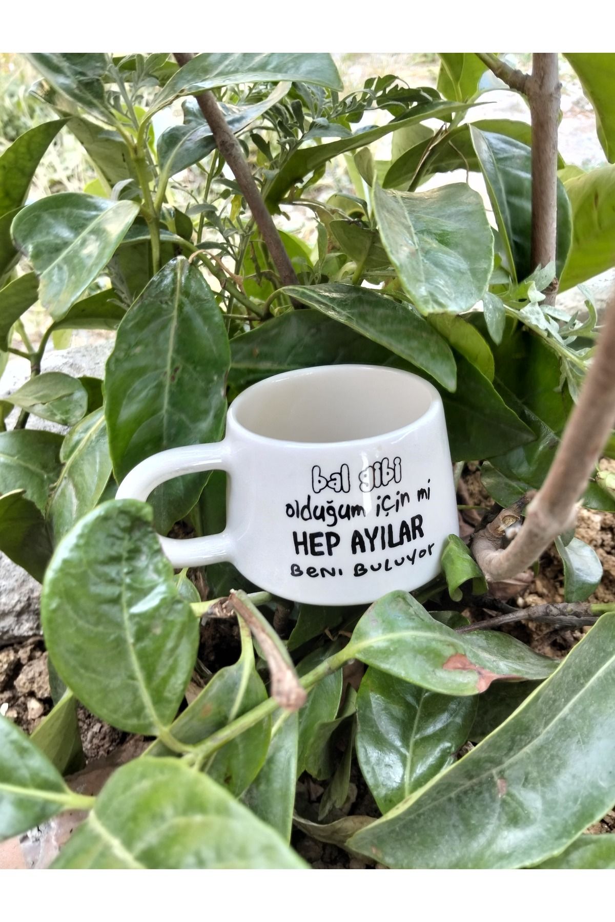 Home Kahve fincanı " Bal gibi olduğum için"