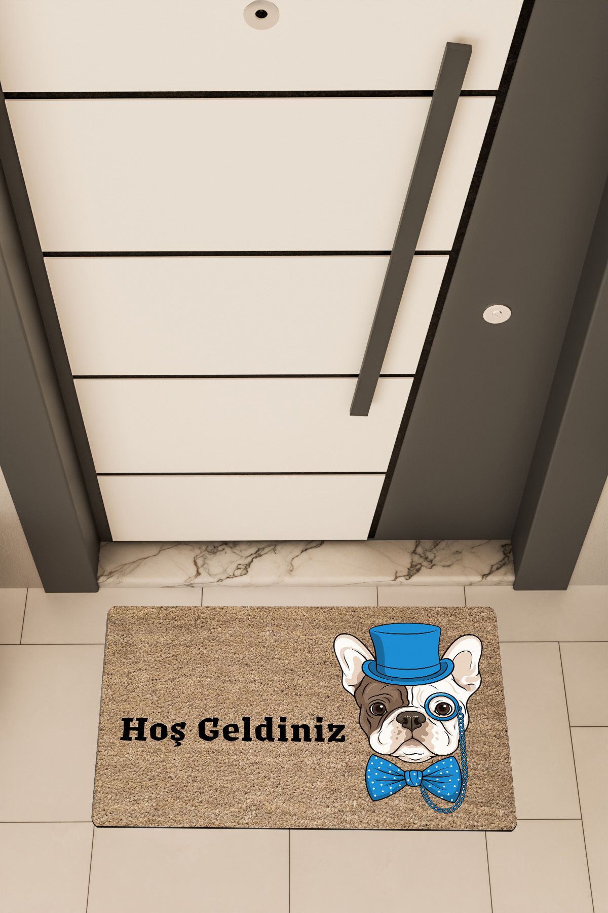 Dormot Home Yüksek Kaliteli Dijital Baskı Kahverengi, Mavi Renkli Entel Pug temalı Kapı Önü Paspası