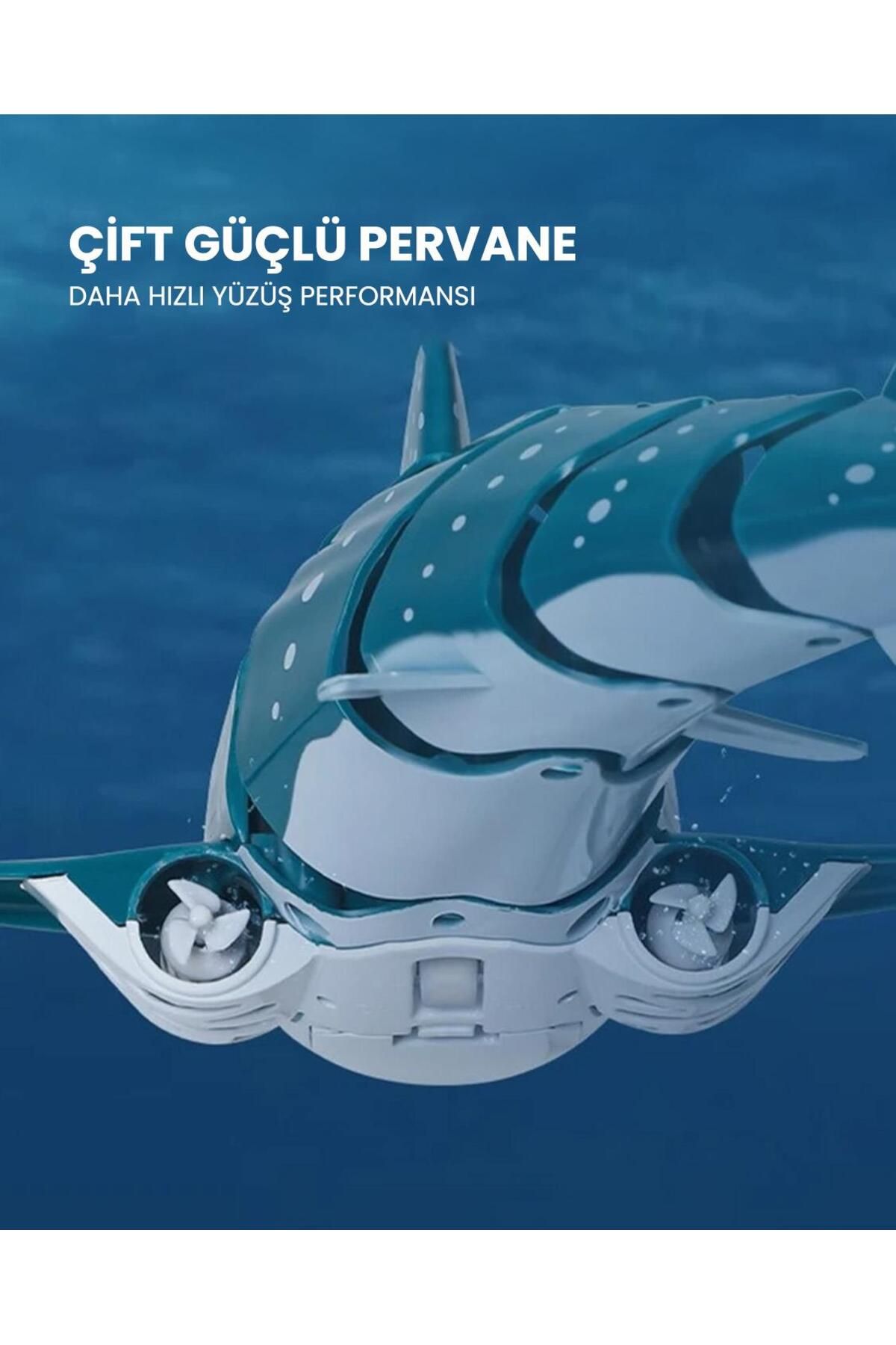 lets be child-Lc Remote Control Shark 5