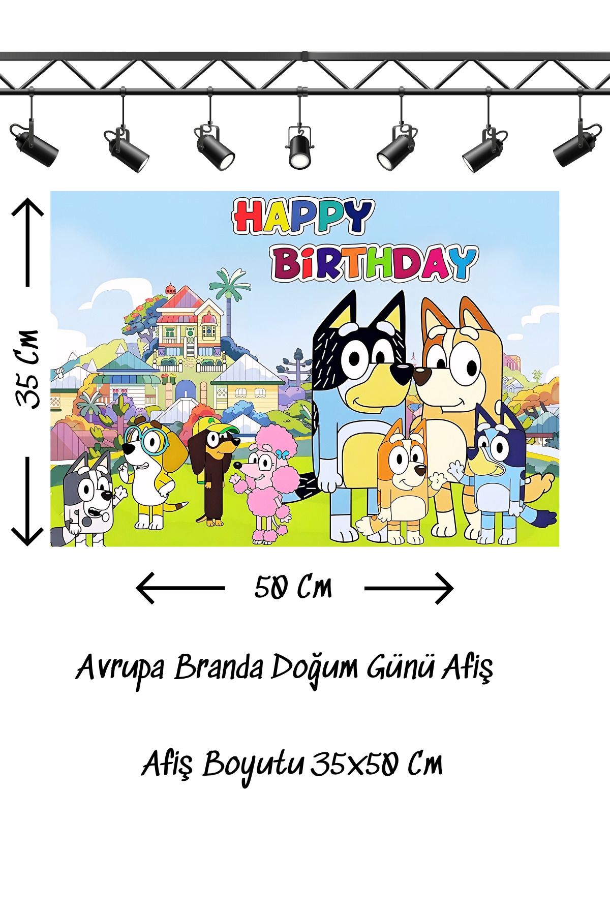 snowparty Doğum Günü Afişi Poster Avrupa Branda 35x50 Cm