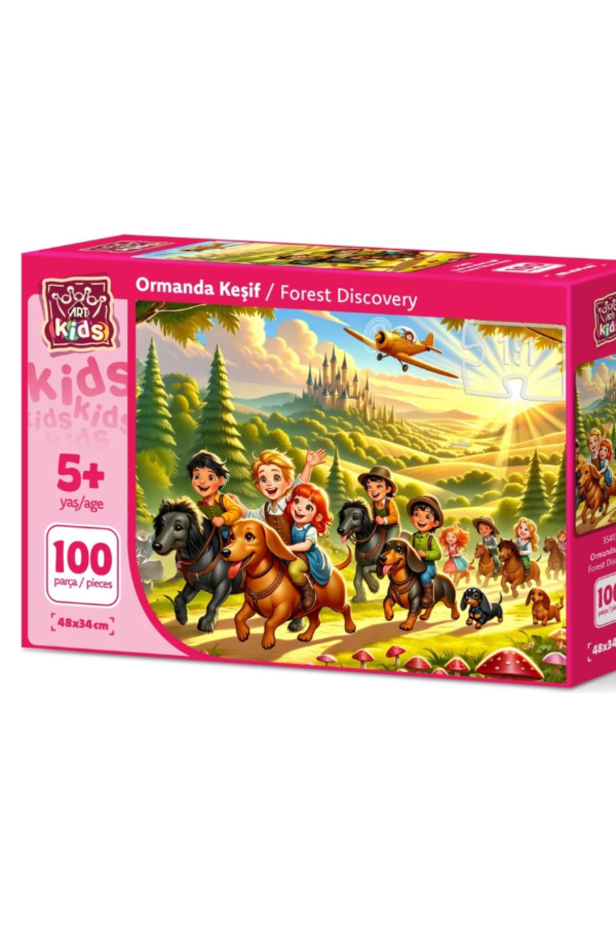 ART Gökkuşağı Ekspresi 260 Parça Puzzle 5035