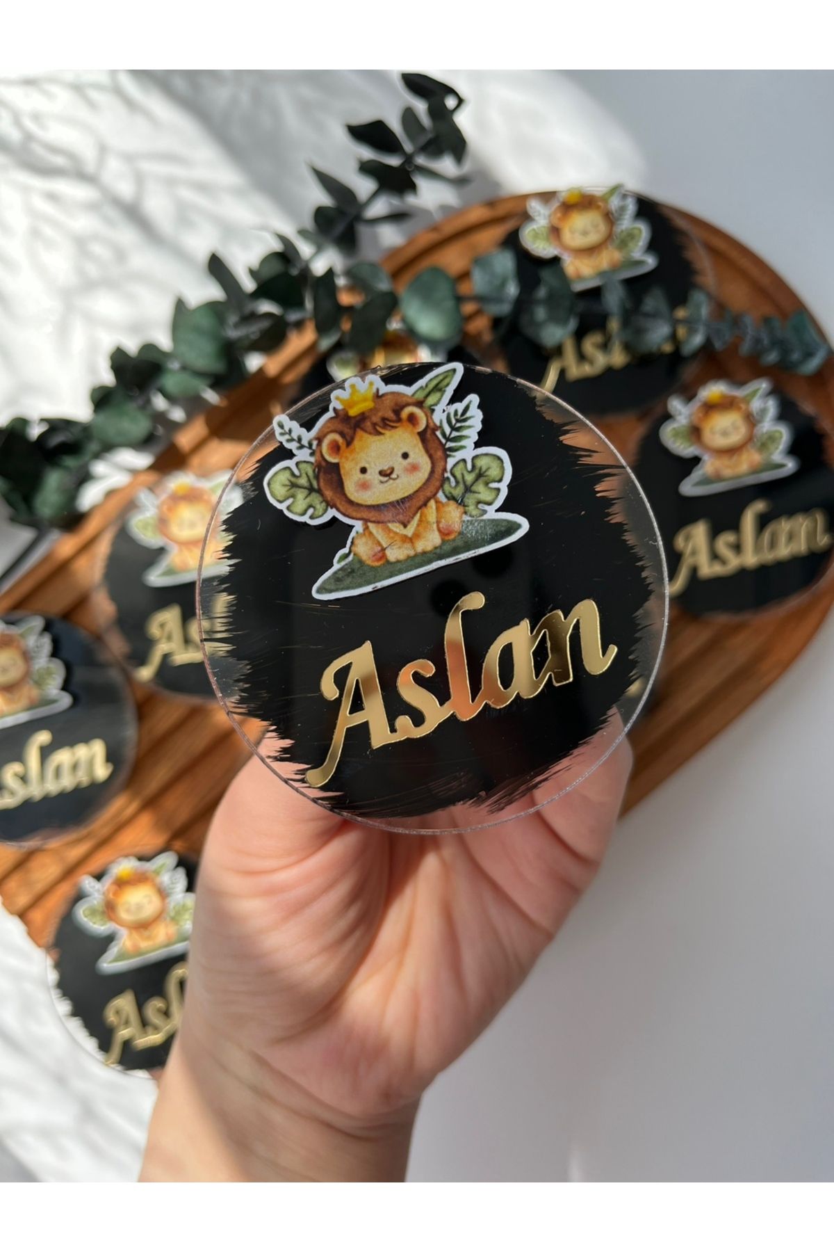 Pass Pano Aslan Temalı Pleksi Magnet – 10’lu Set, Bebek Hediyesi, Doğum Günü & Mevlüt İçin (7 cm)