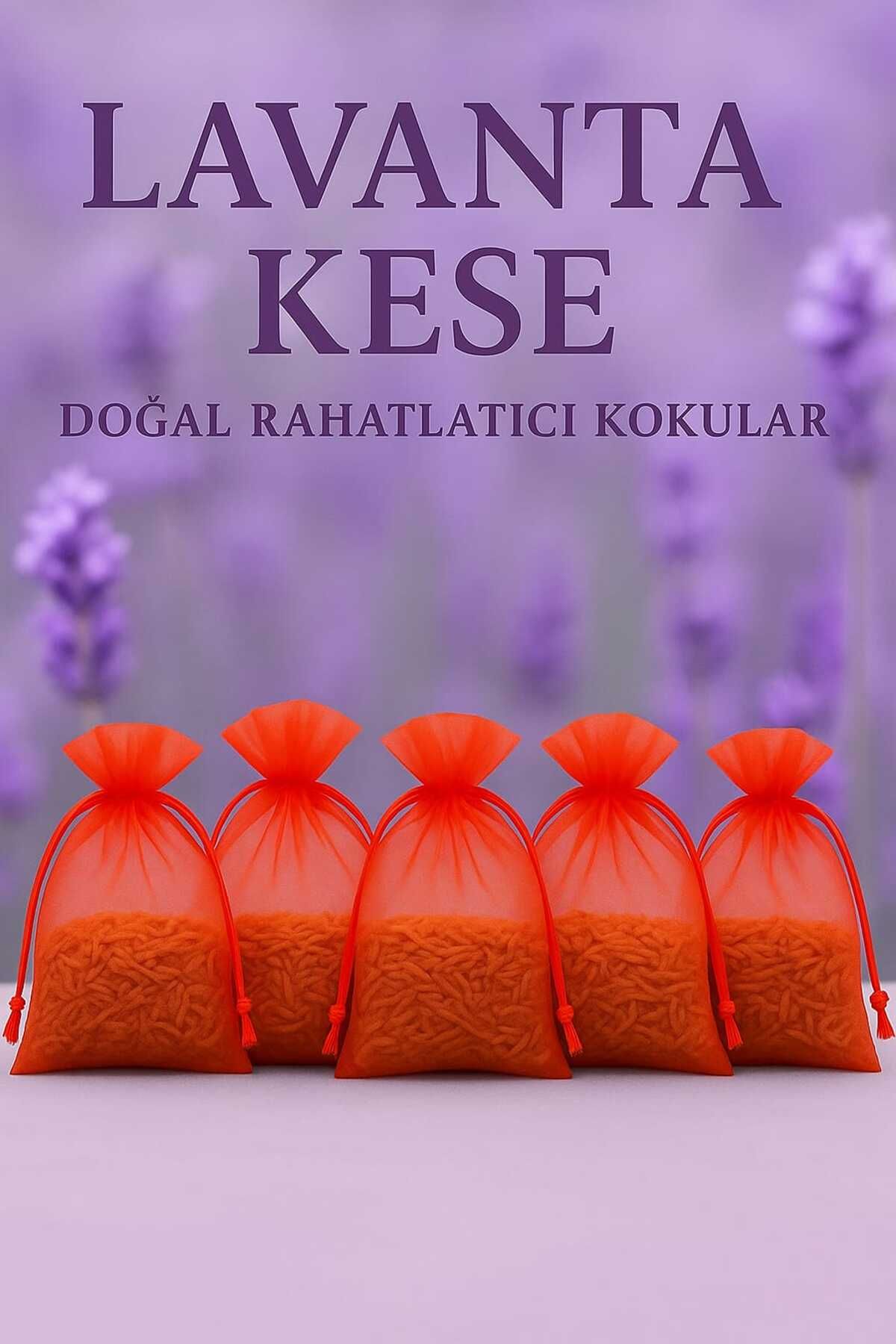 UMYSTORE1 Lavanta Kesesi Oda Dolap Kokusu
