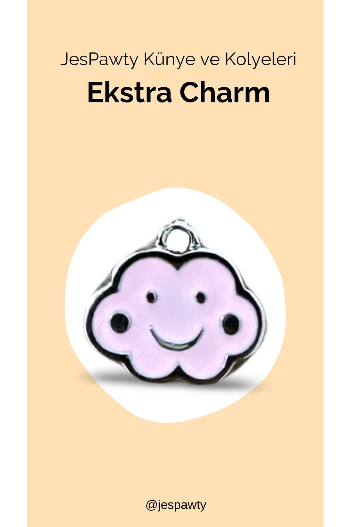 JesPawty Kolye ve Künye İle Uyumlu Charm Gümüş Renk Kaplama