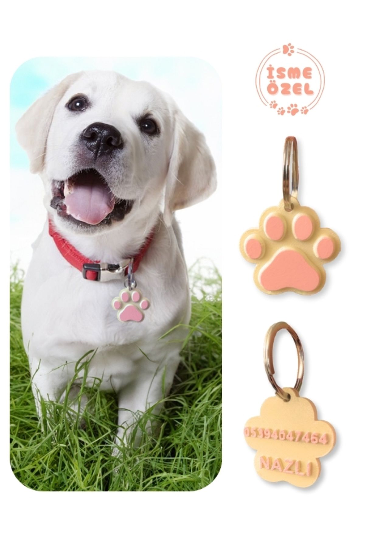 Patimin İzleri Kedi ve Köpekler İçin Kişiye Özel İsim Yazılabilir Çıngıraklı Künye ve İsimlik