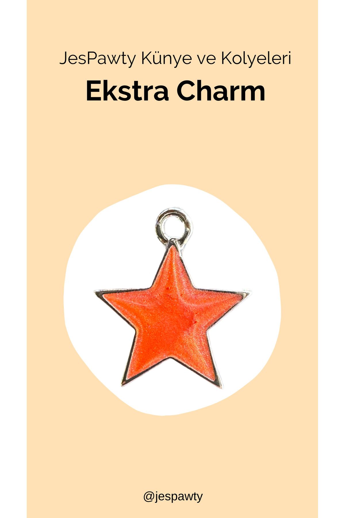 JesPawty Kolye ve Künye İle Uyumlu Charm Gümüş Renk Kaplama